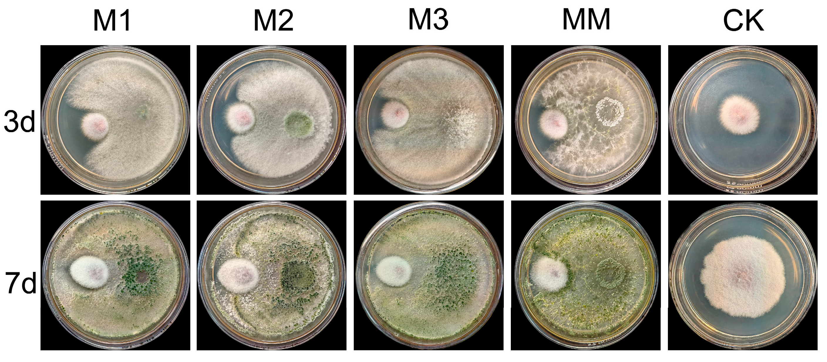 Plants 14 01480 g0a1