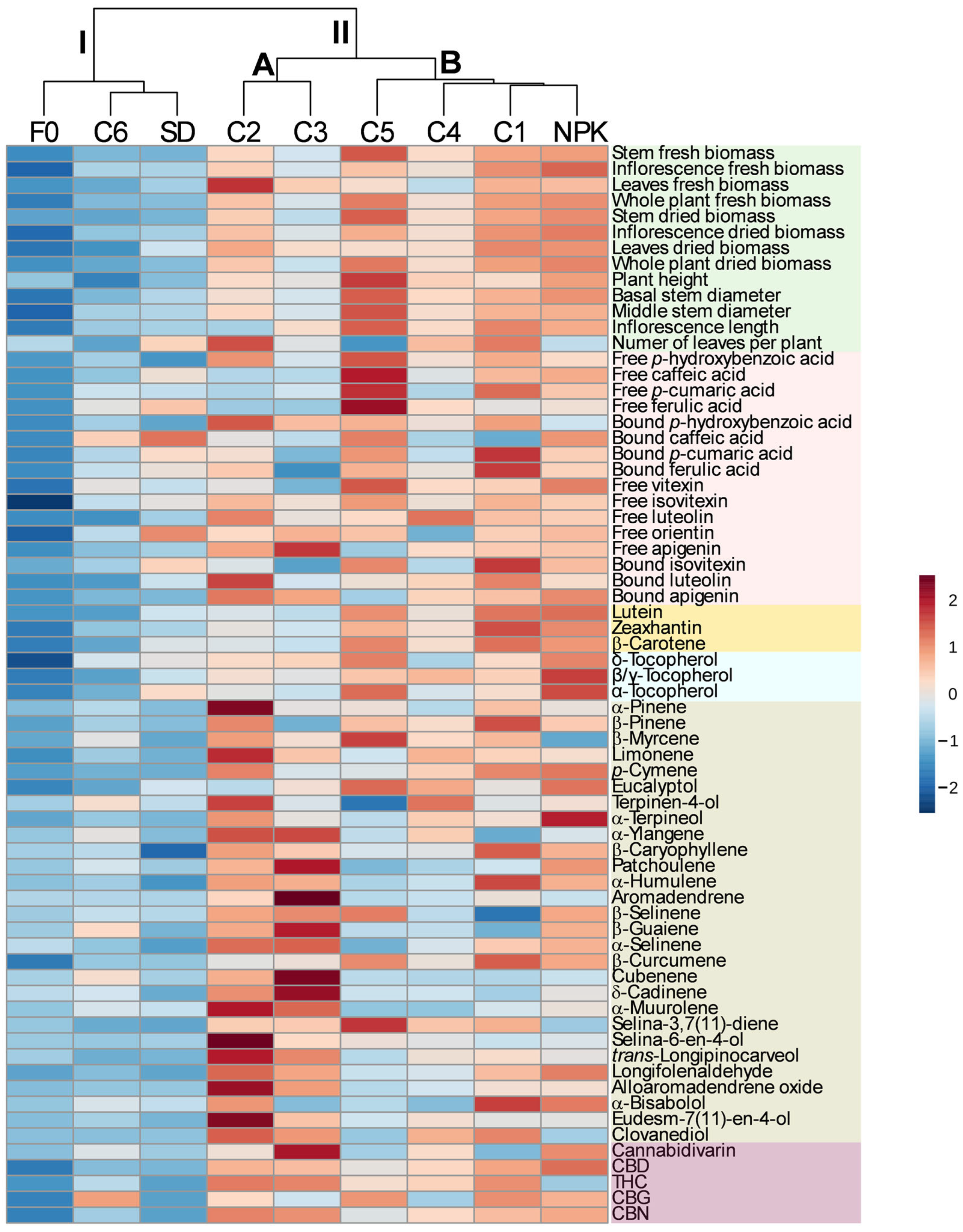 Plants 14 01519 g004