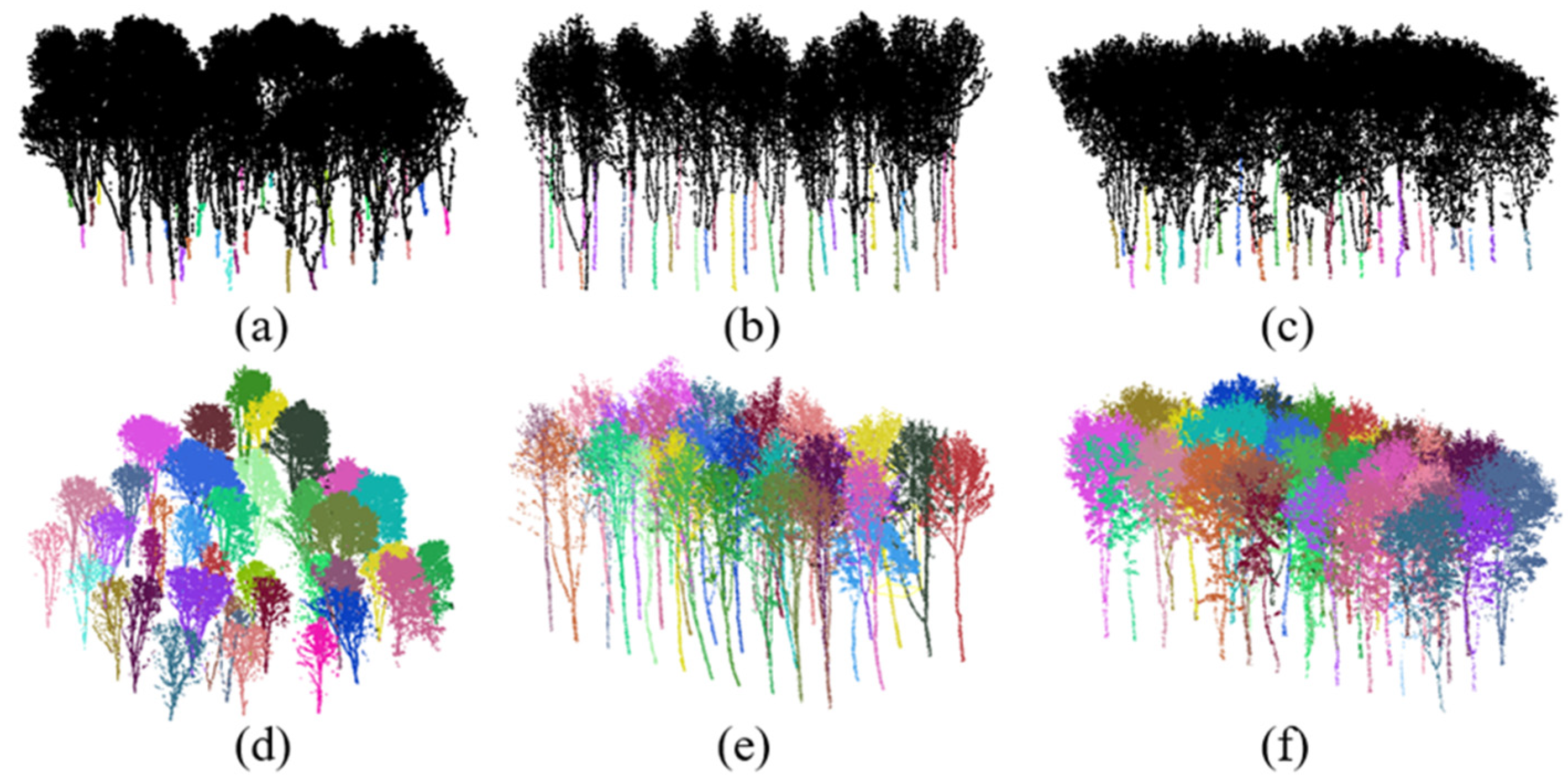 Plants 14 01640 g002