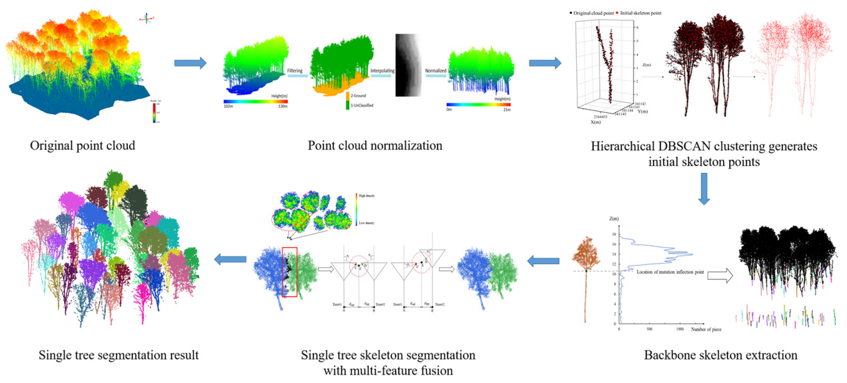Plants 14 01640 g006