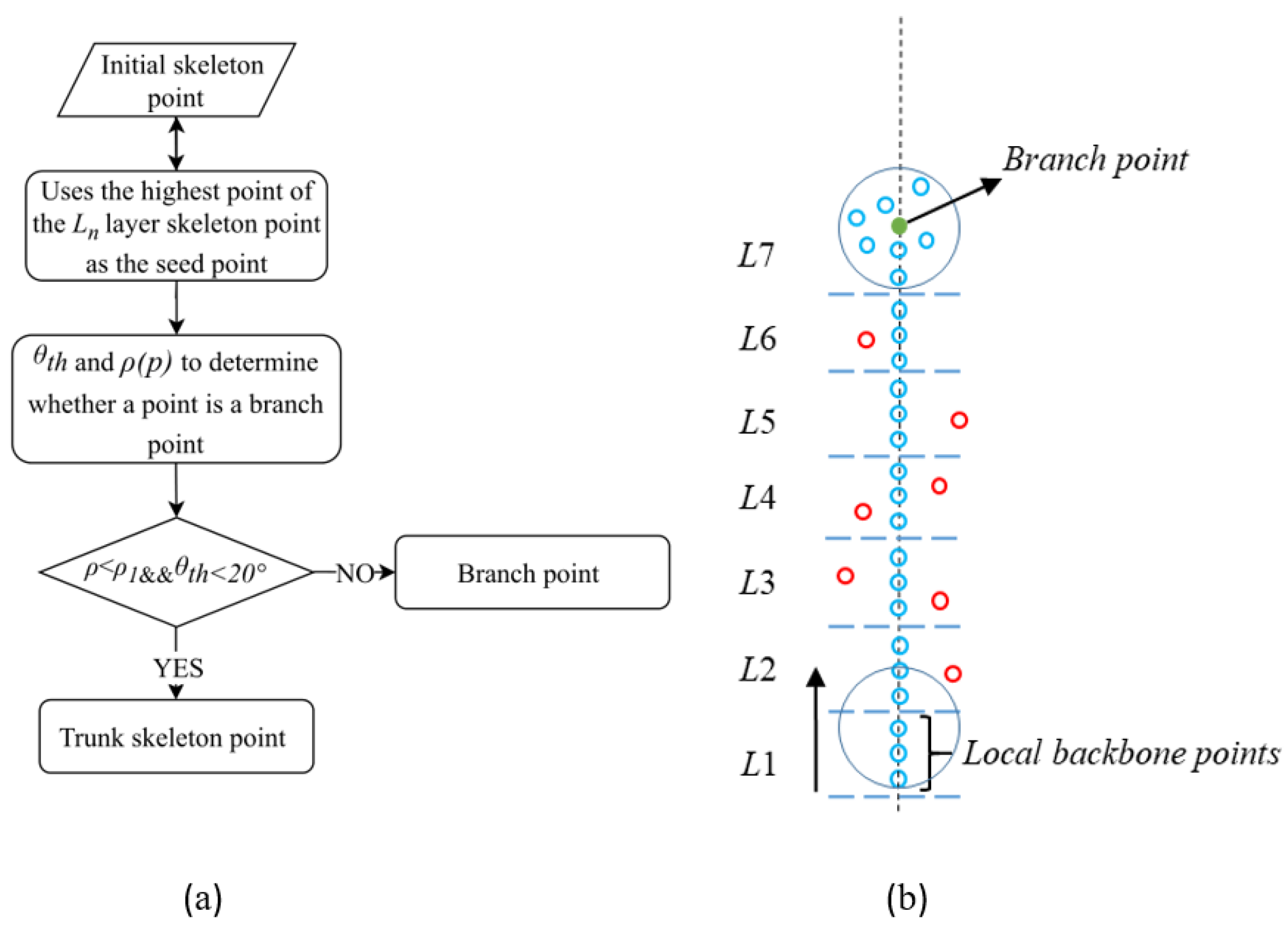 Plants 14 01640 g007