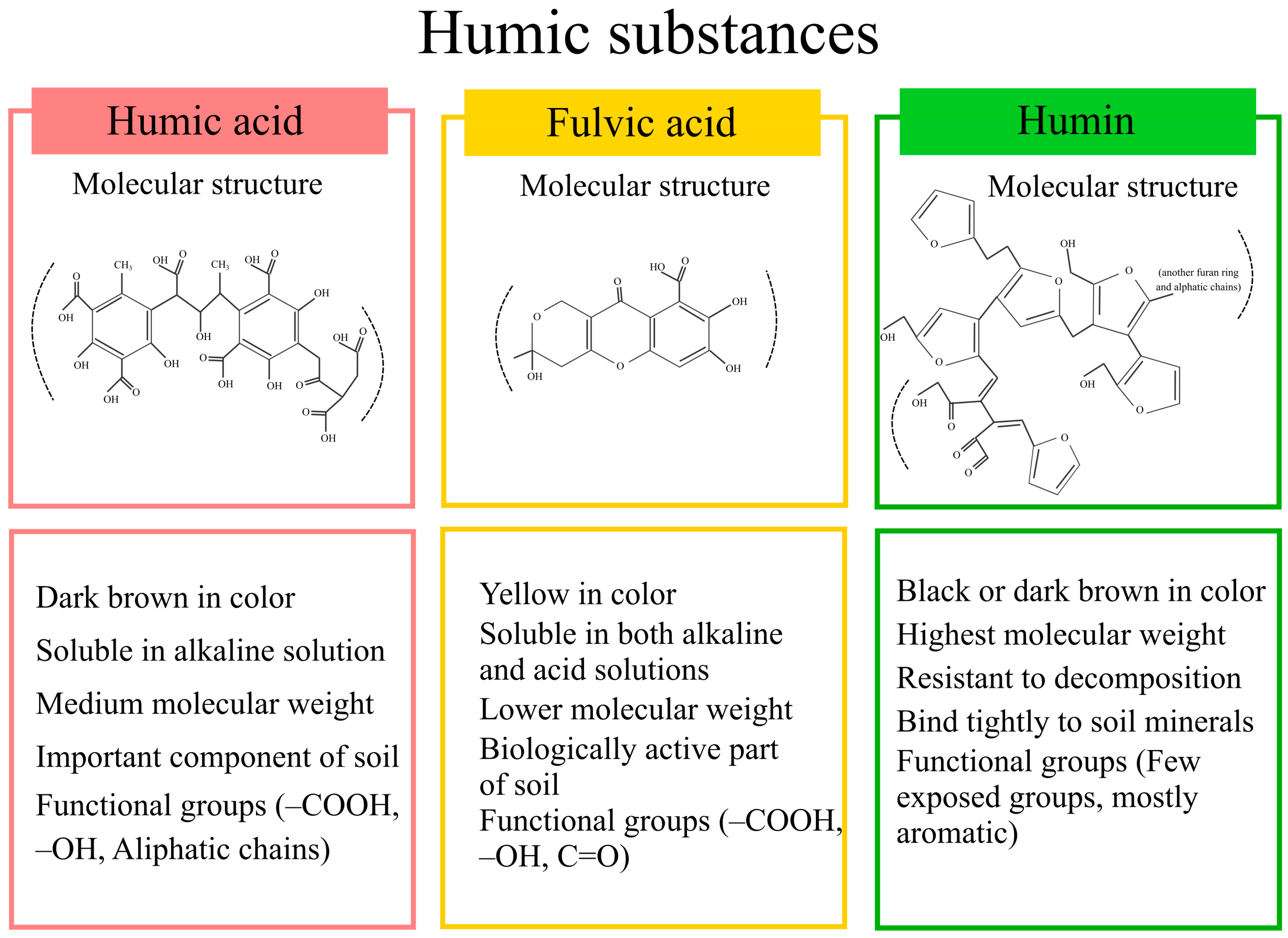 Plants 14 01916 g001