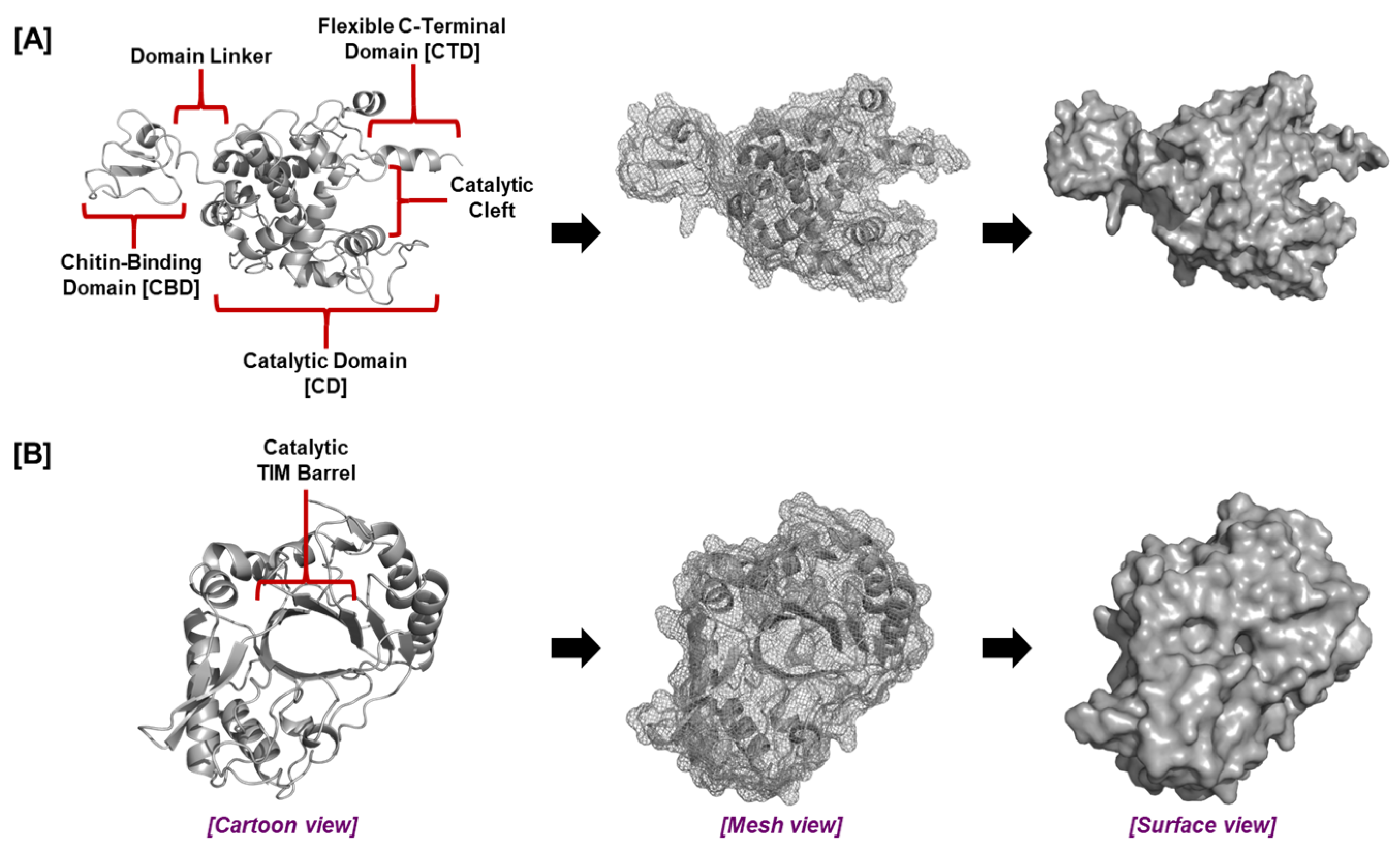 Plants 14 02069 g003 Plants 14 02069 g003