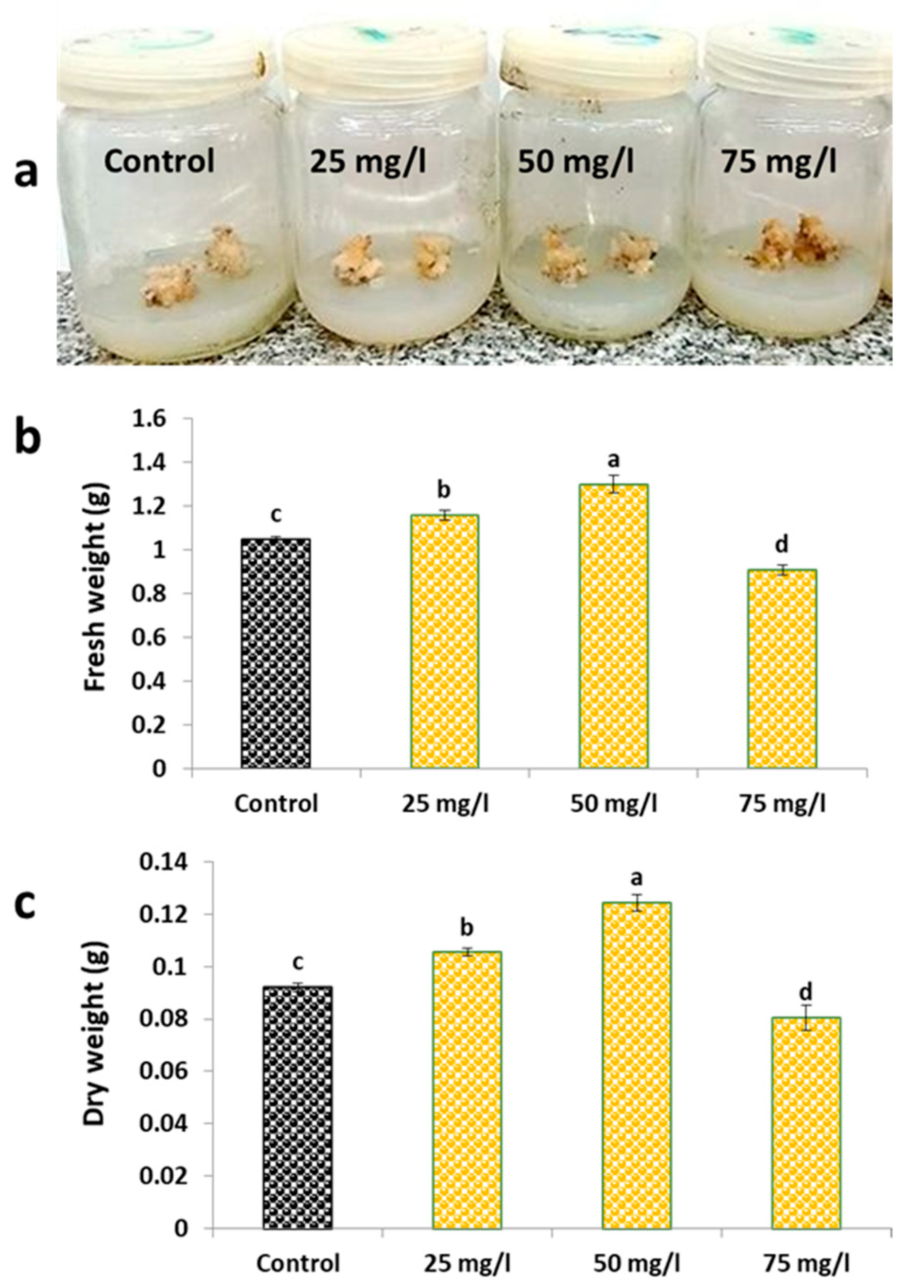 Plants 14 02093 g001