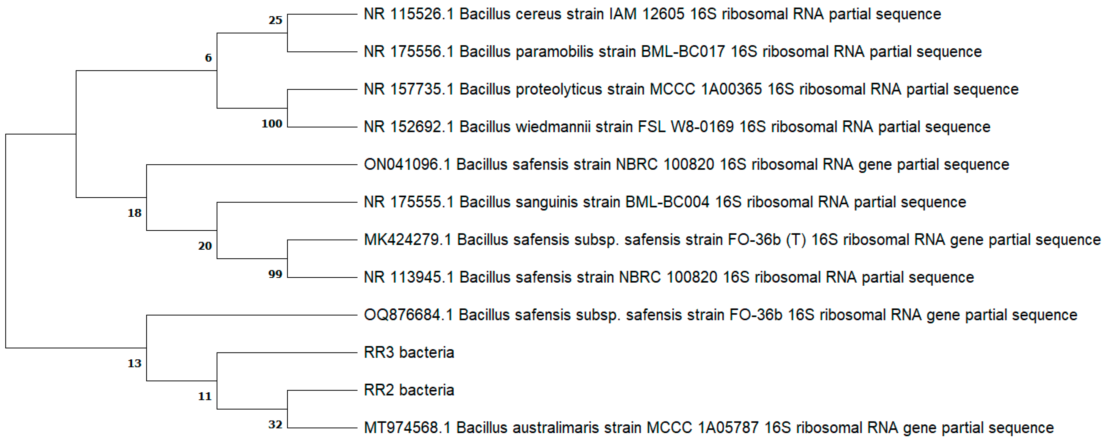 Plants 14 02096 g002