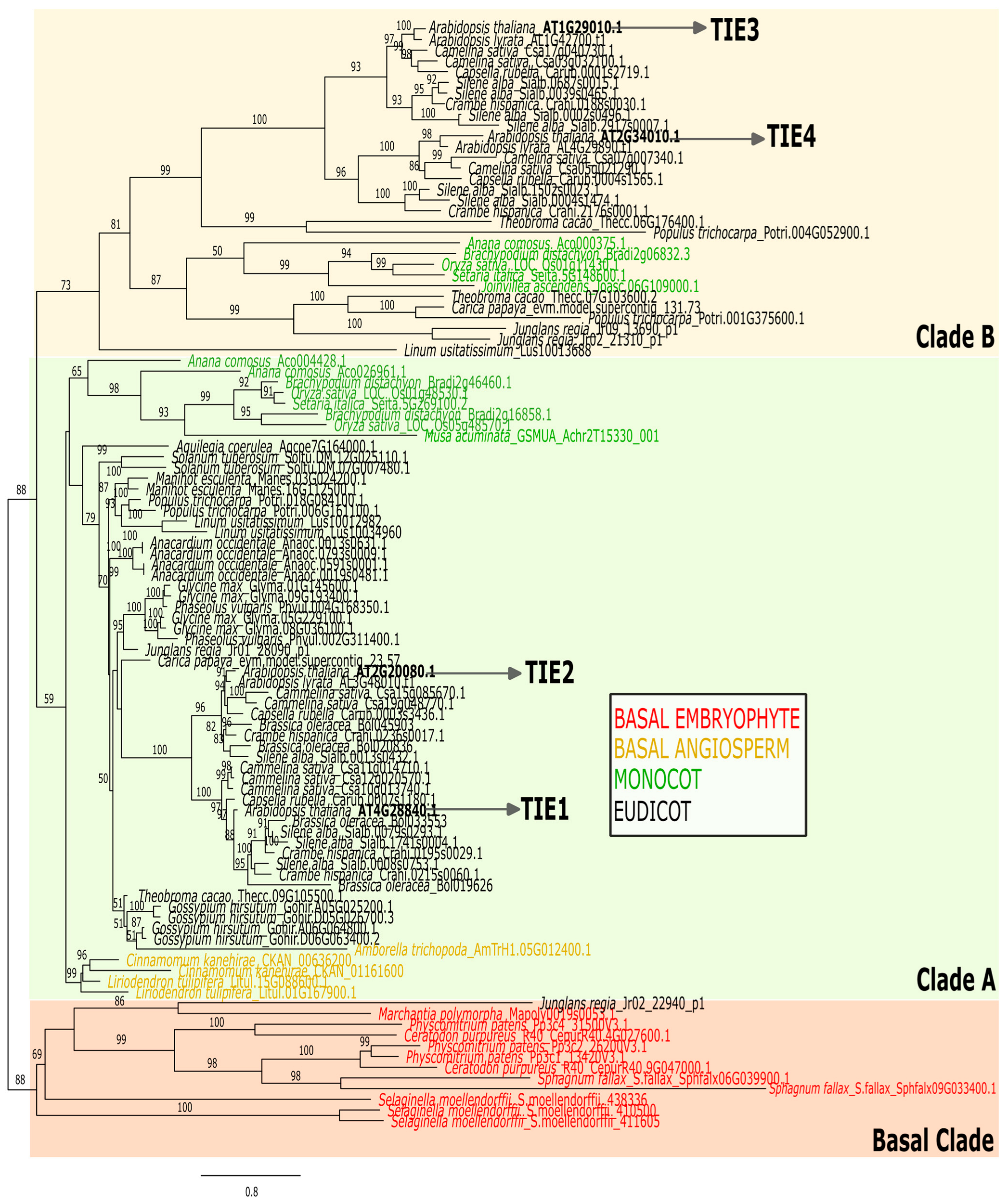 Plants 14 02423 g001 Plants 14 02423 g001