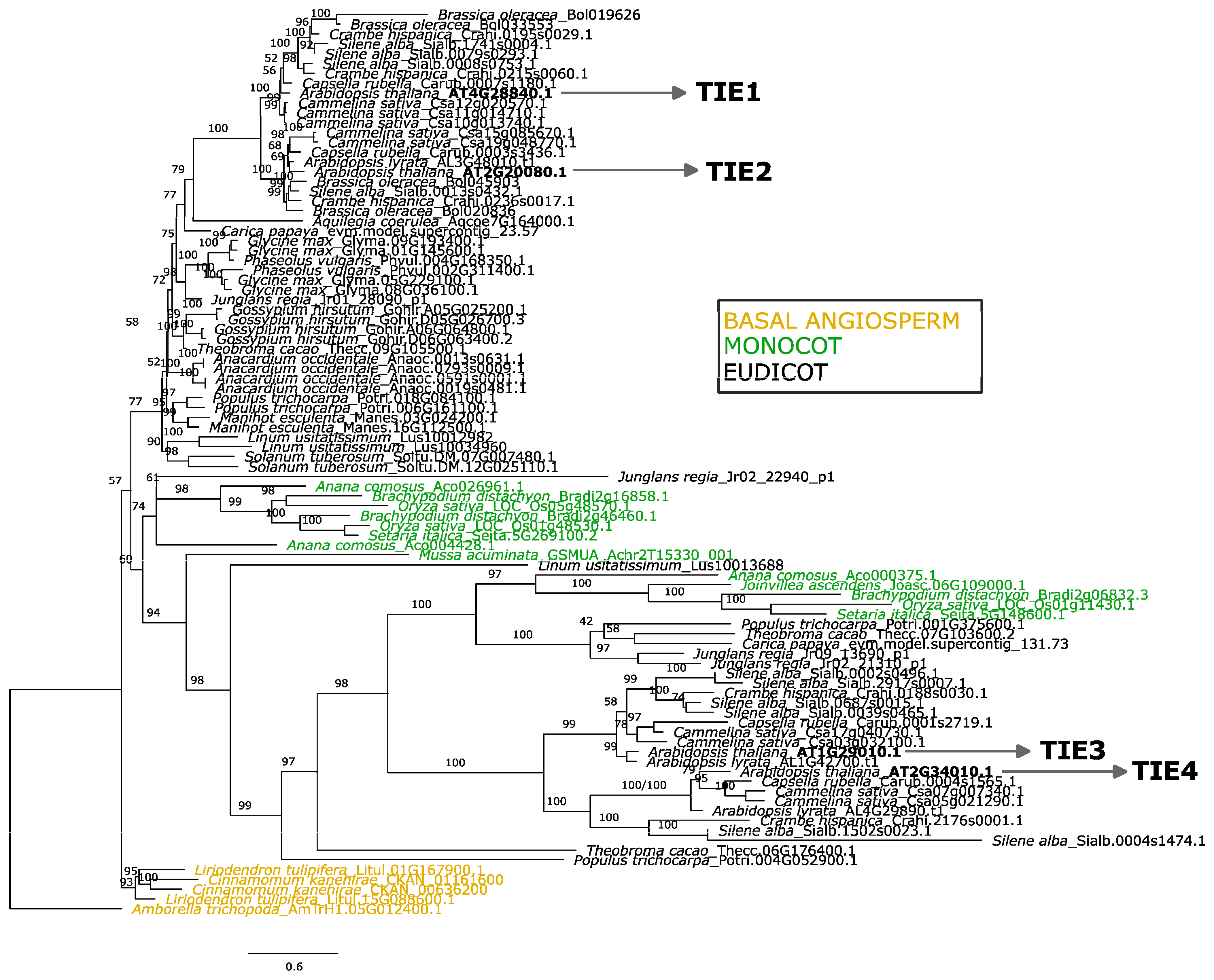 Plants 14 02423 g002 Plants 14 02423 g002