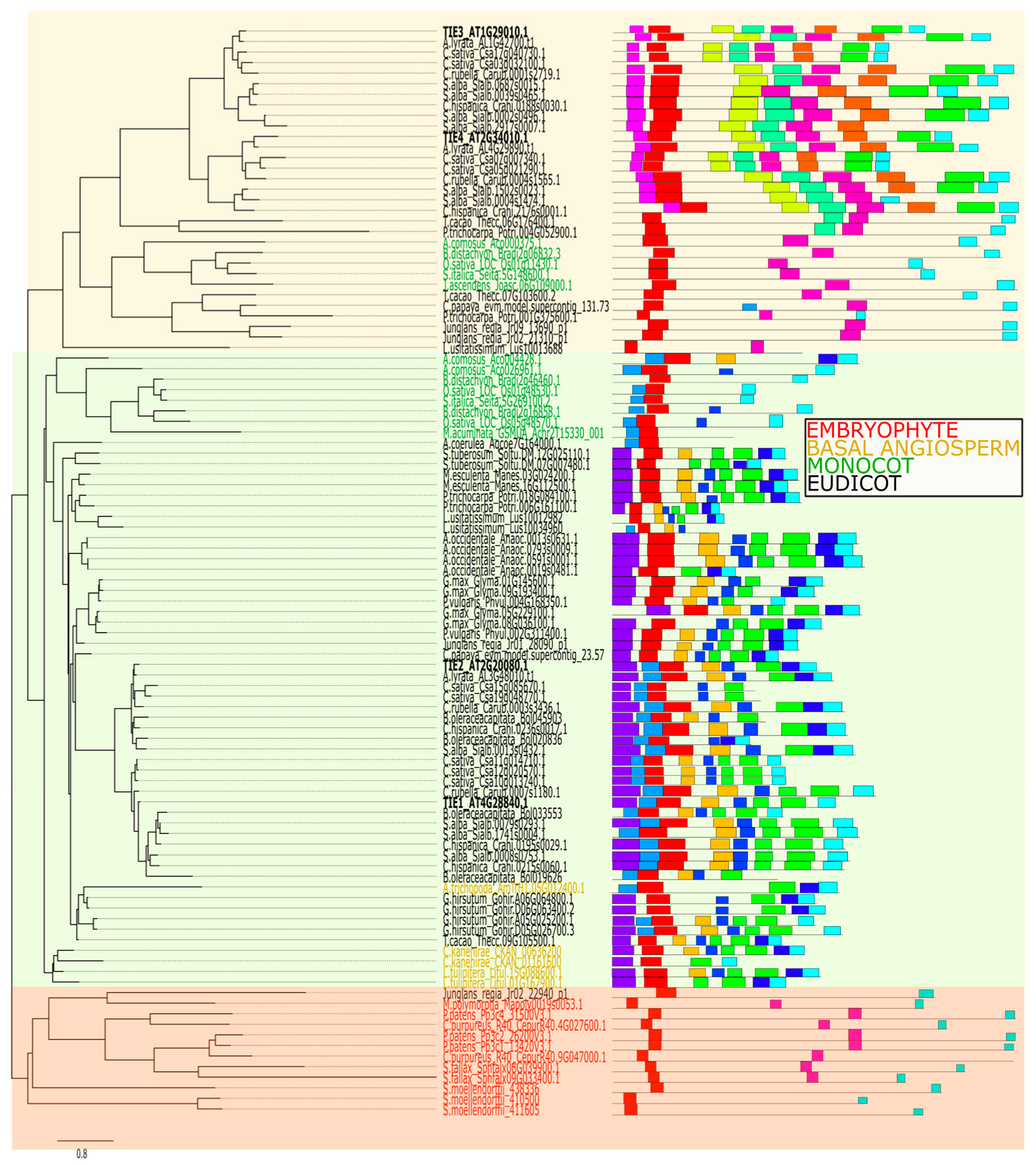 Plants 14 02423 g003 Plants 14 02423 g003
