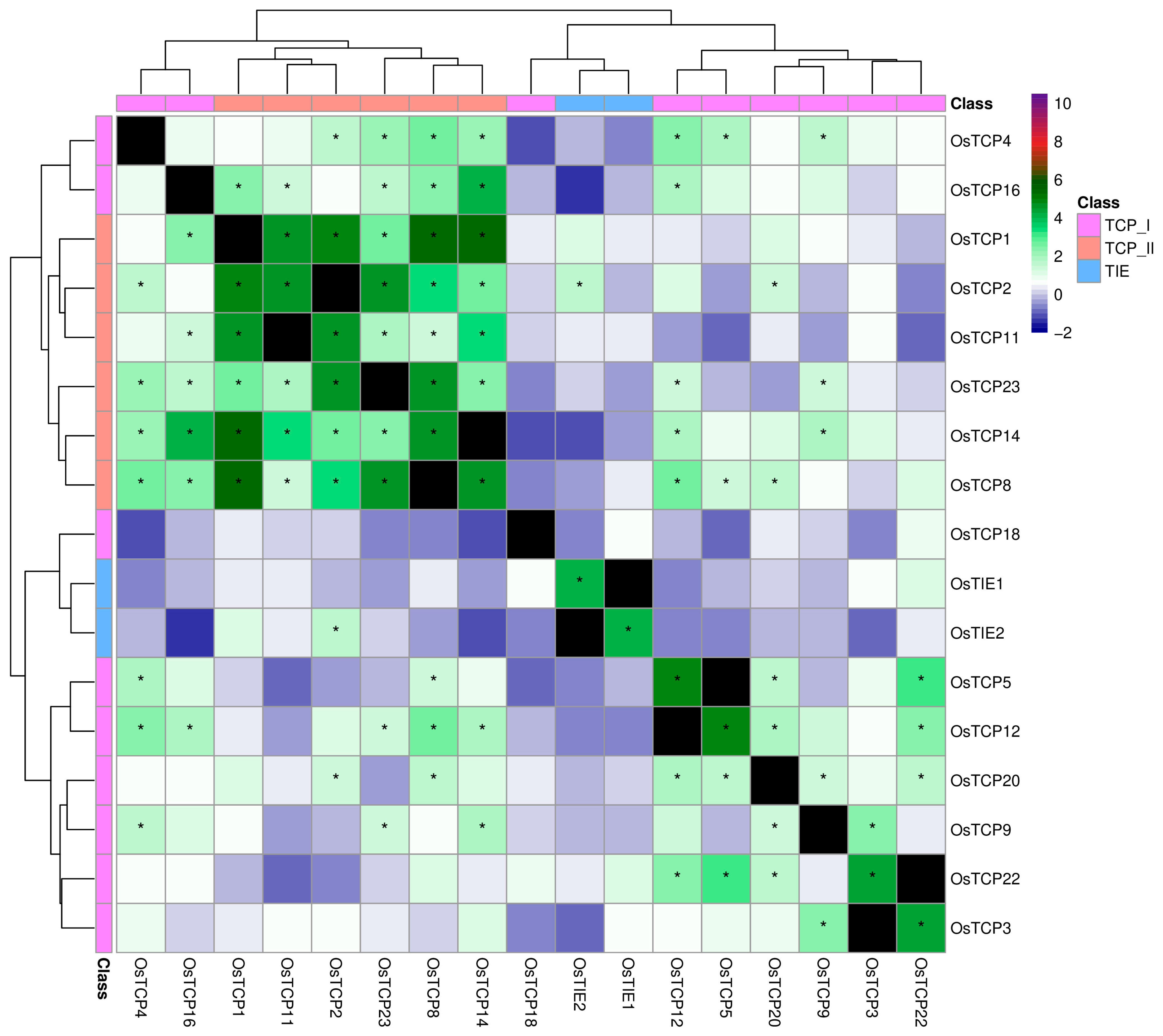 Plants 14 02423 g006 Plants 14 02423 g006