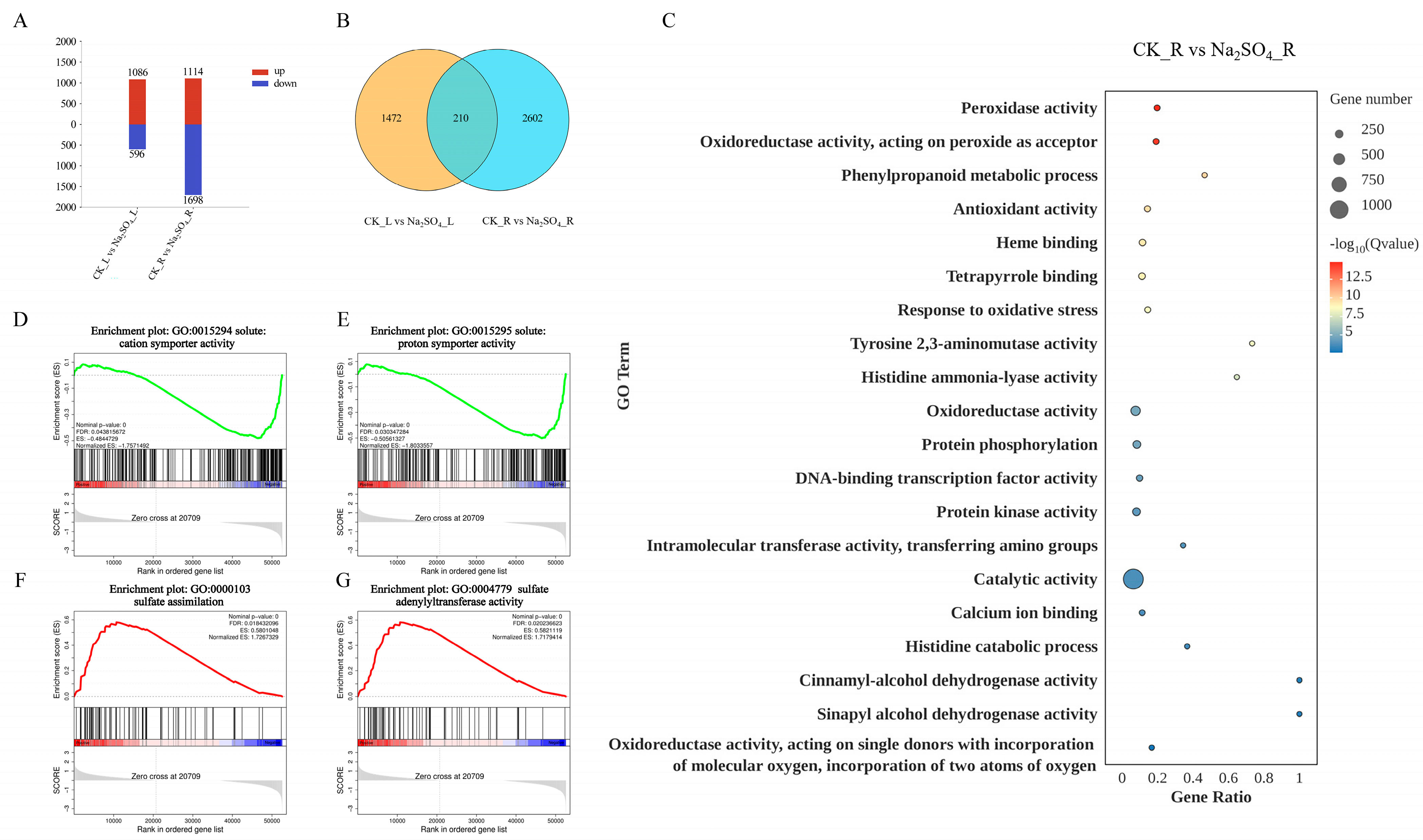 Plants 14 02771 g006 Plants 14 02771 g006