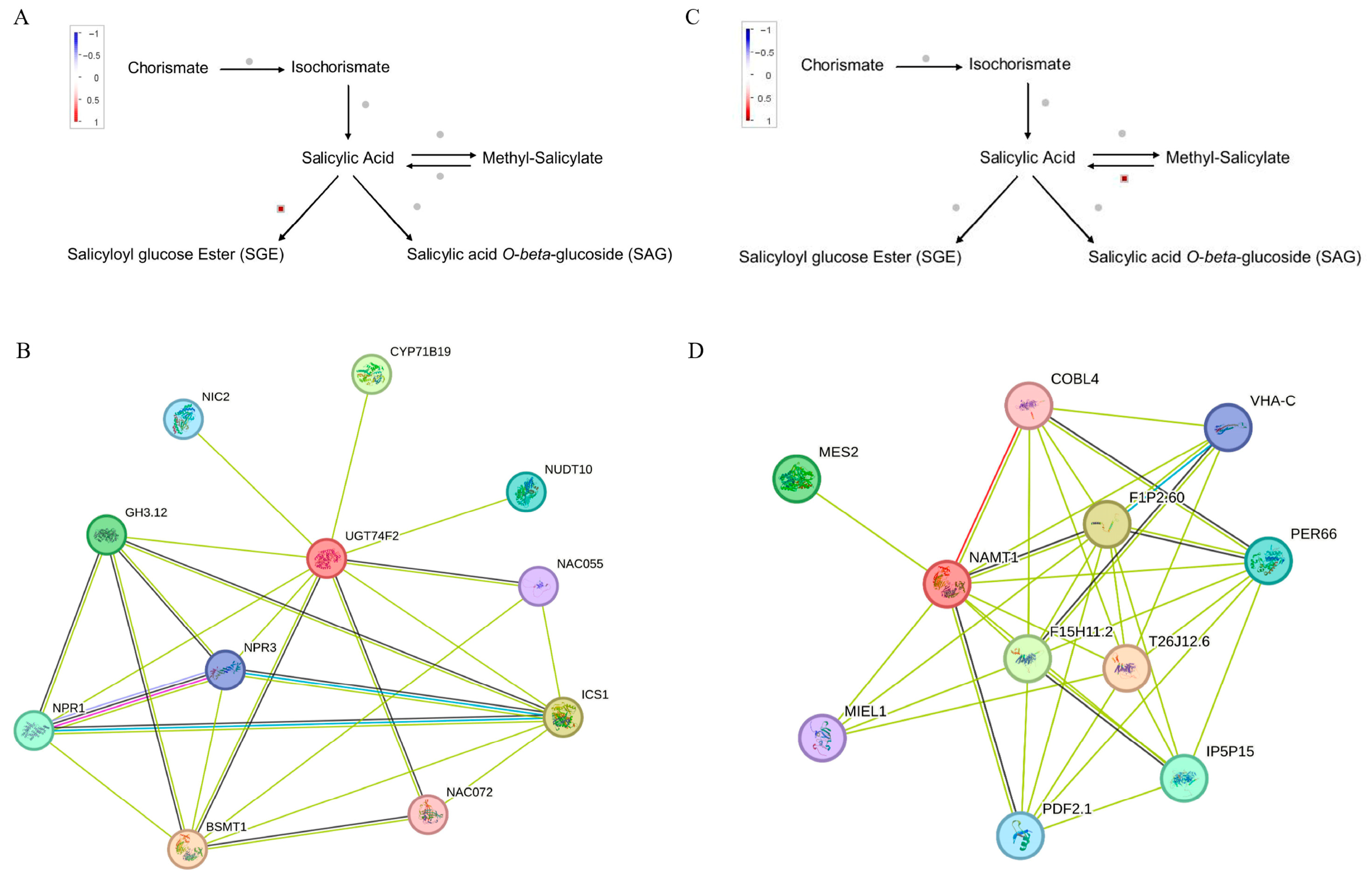 Plants 14 02771 g009 Plants 14 02771 g009