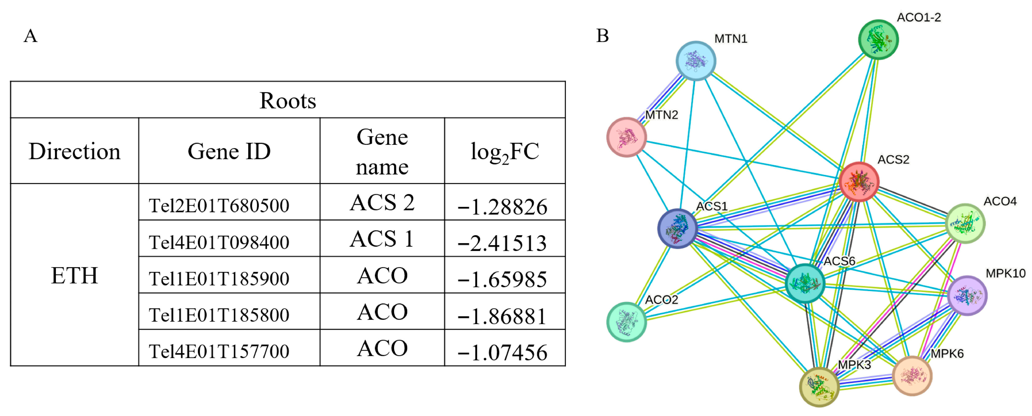 Plants 14 02771 g010 Plants 14 02771 g010