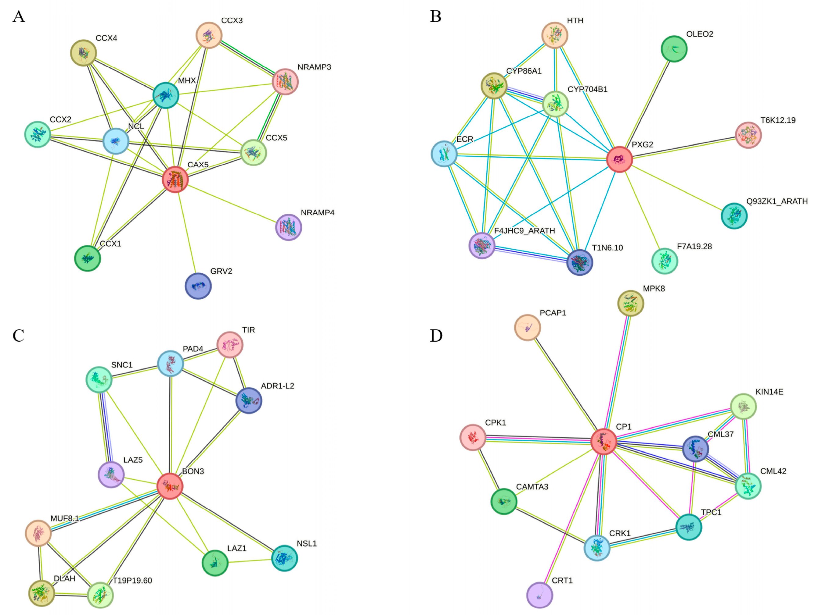 Plants 14 02771 g011 Plants 14 02771 g011
