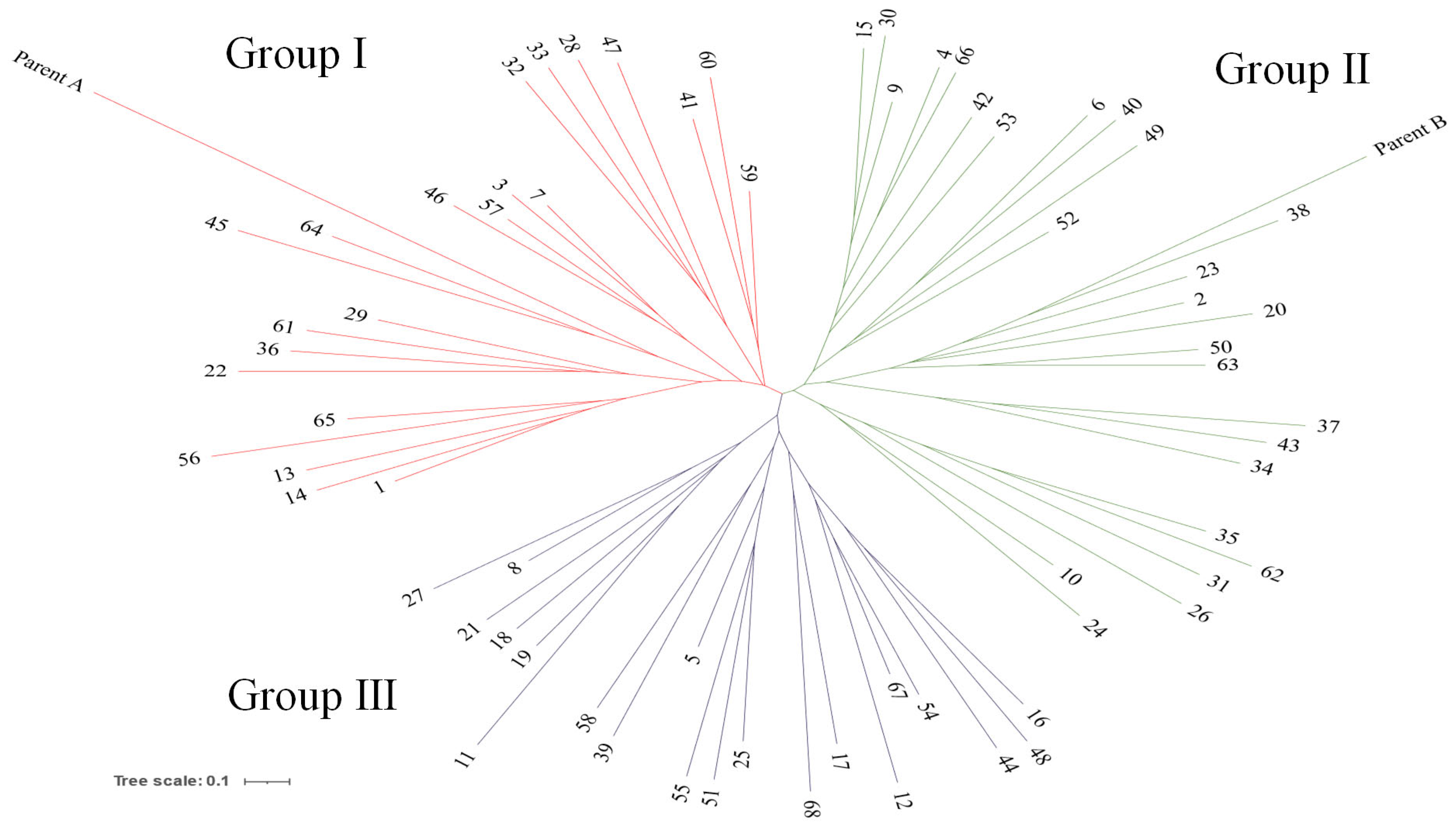Plants 14 02799 g003 Plants 14 02799 g003