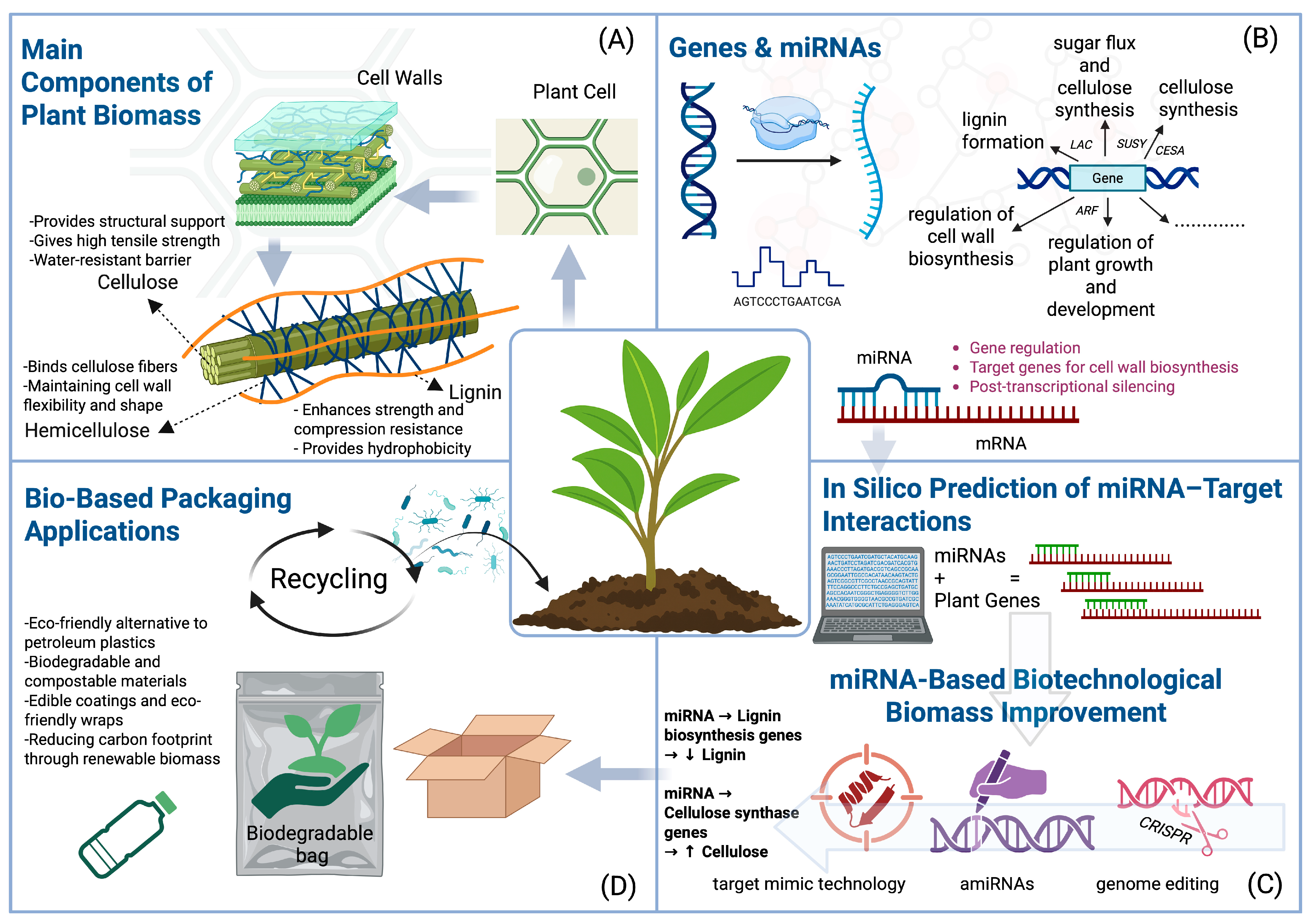 Plants 14 02905 g003 Plants 14 02905 g003