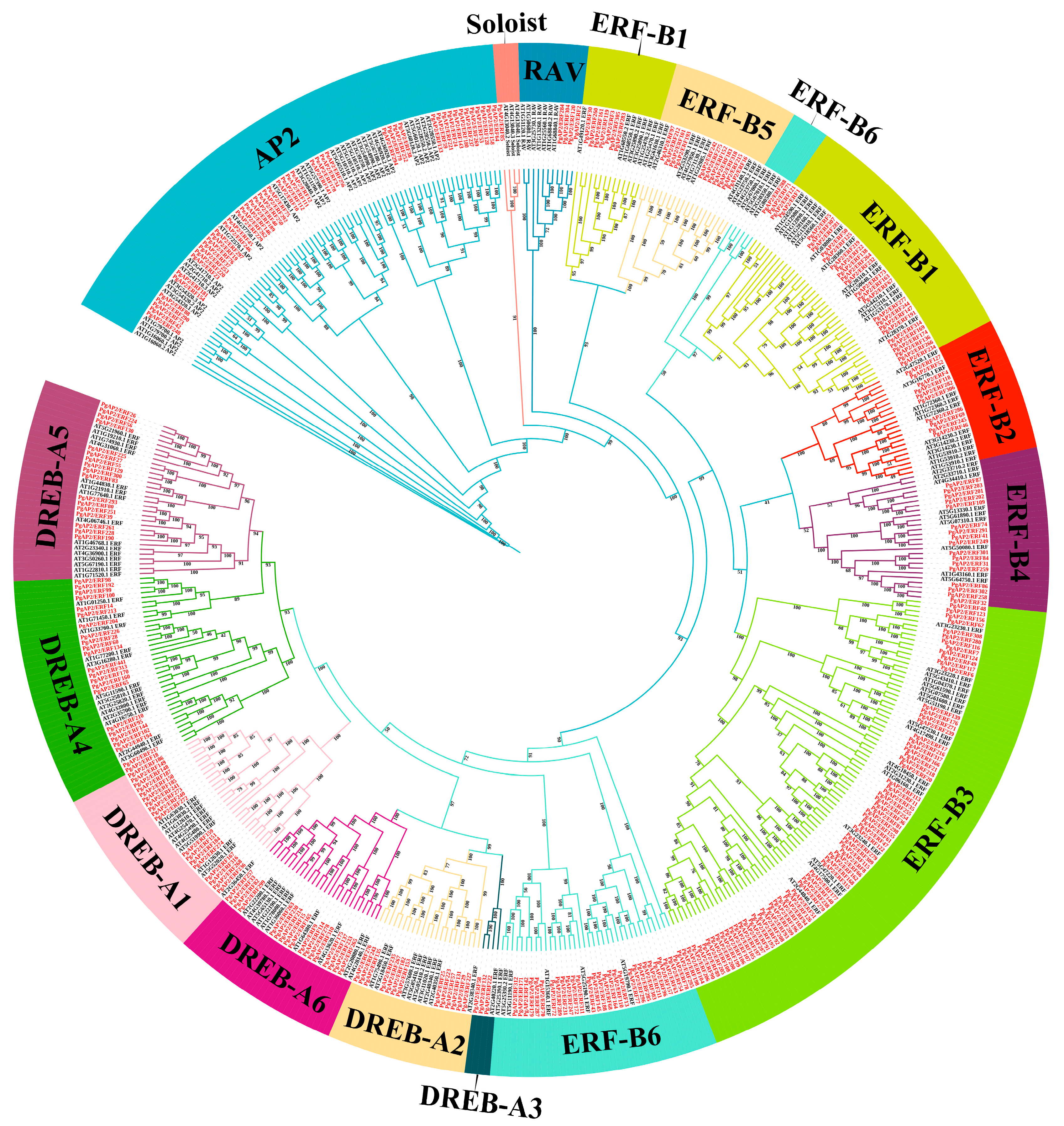 Plants 14 02922 g001 Plants 14 02922 g001
