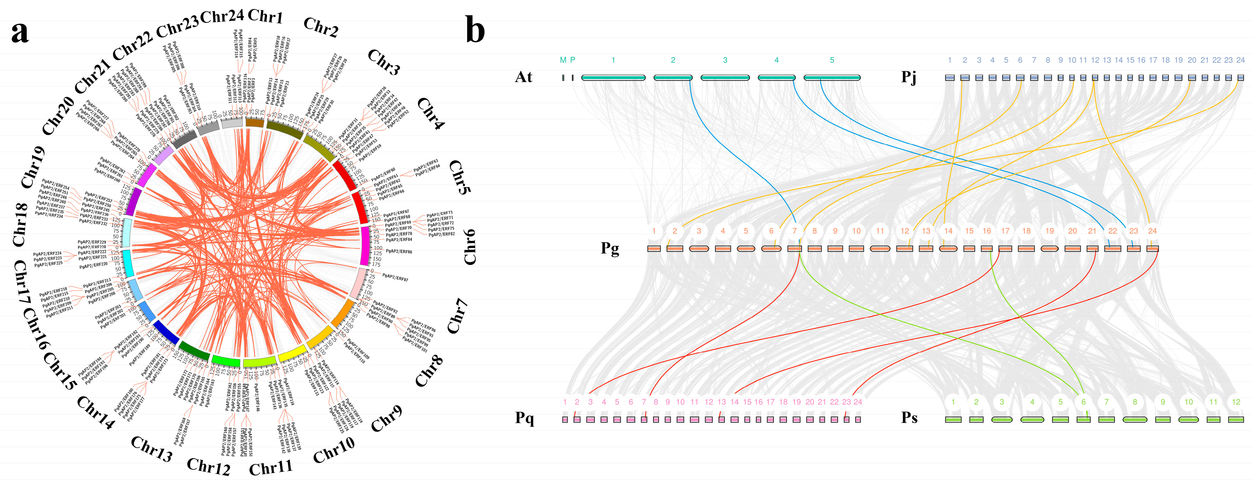 Plants 14 02922 g002 Plants 14 02922 g002