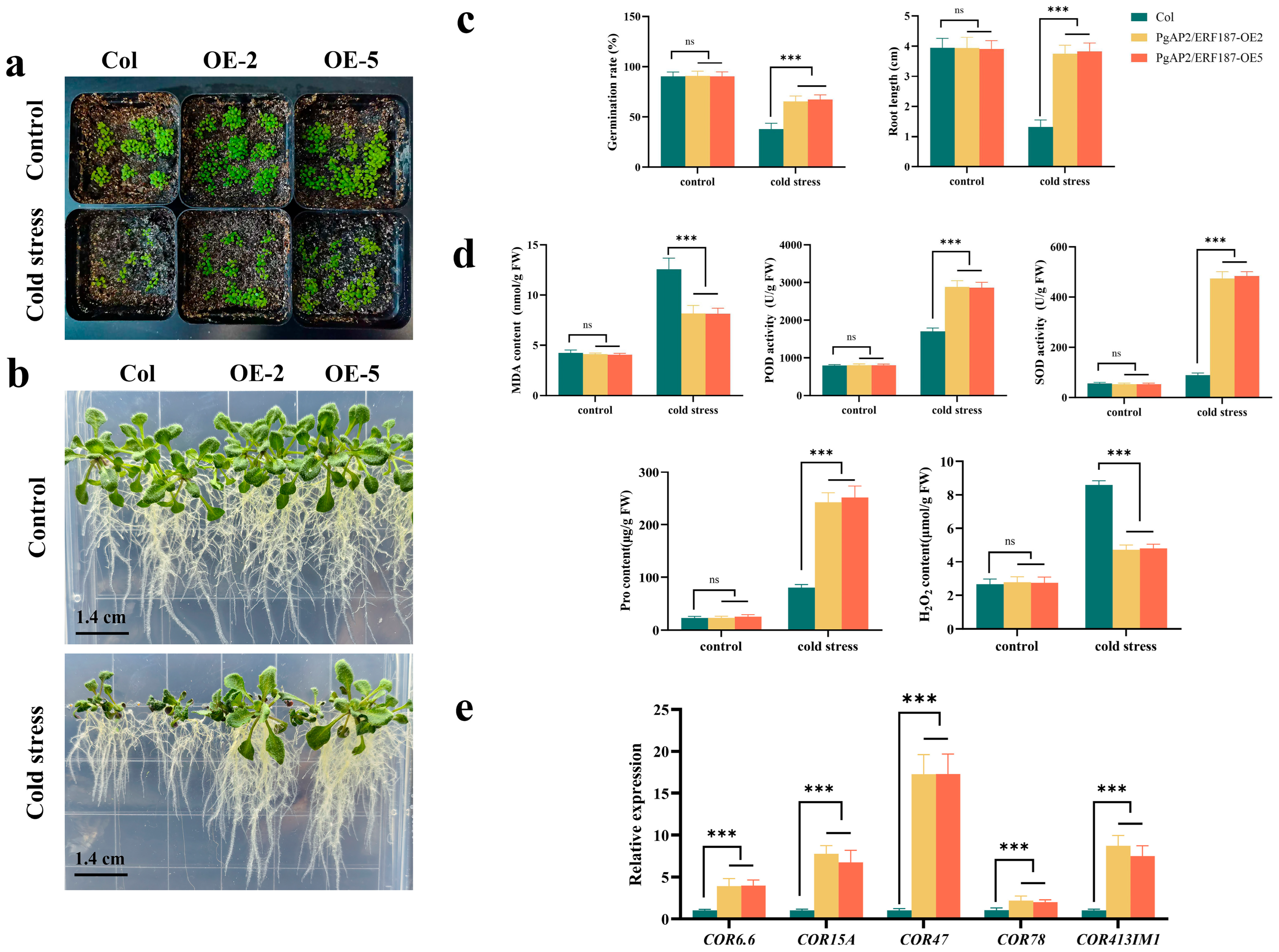 Plants 14 02922 g005 Plants 14 02922 g005