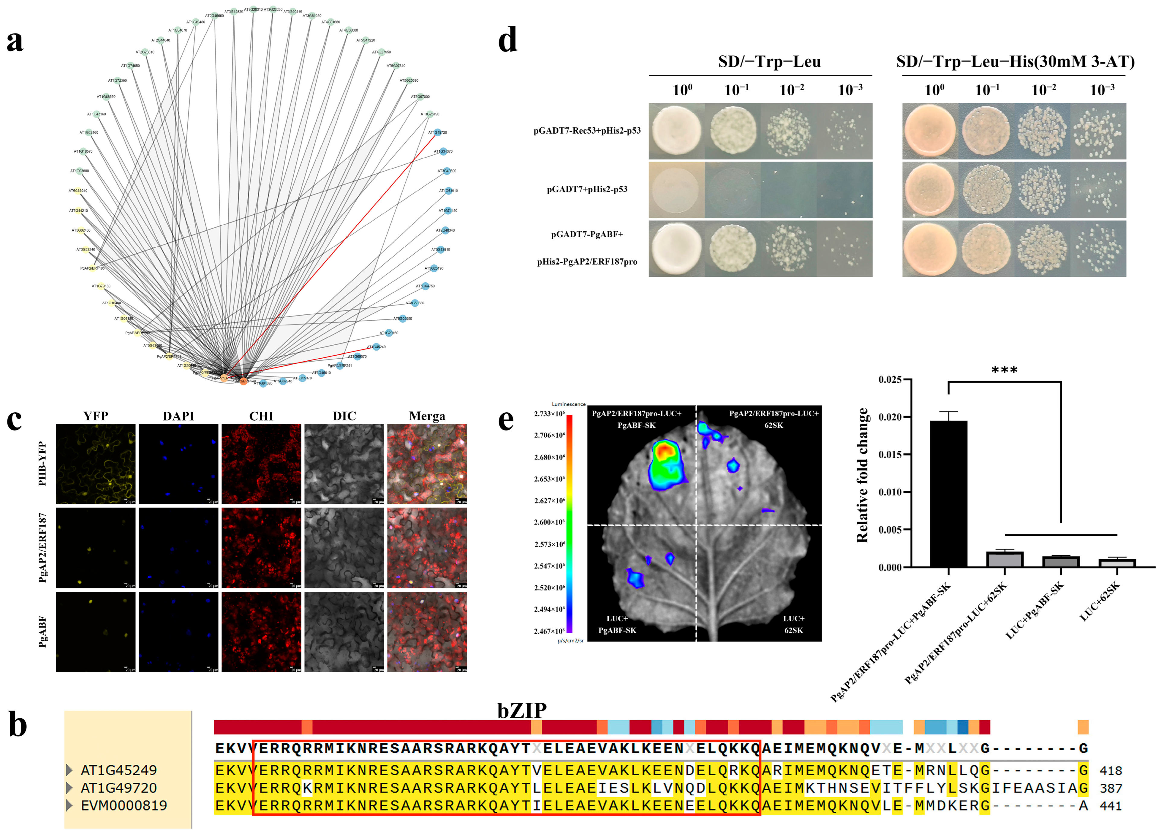 Plants 14 02922 g006 Plants 14 02922 g006