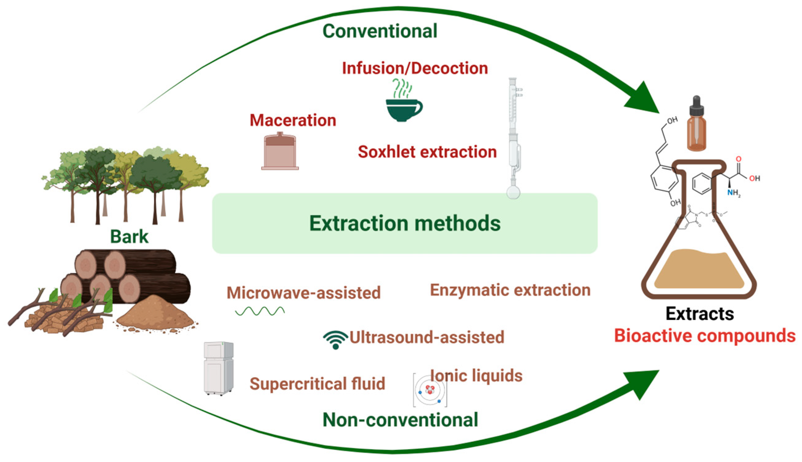 Plants 14 02929 g001 Plants 14 02929 g001
