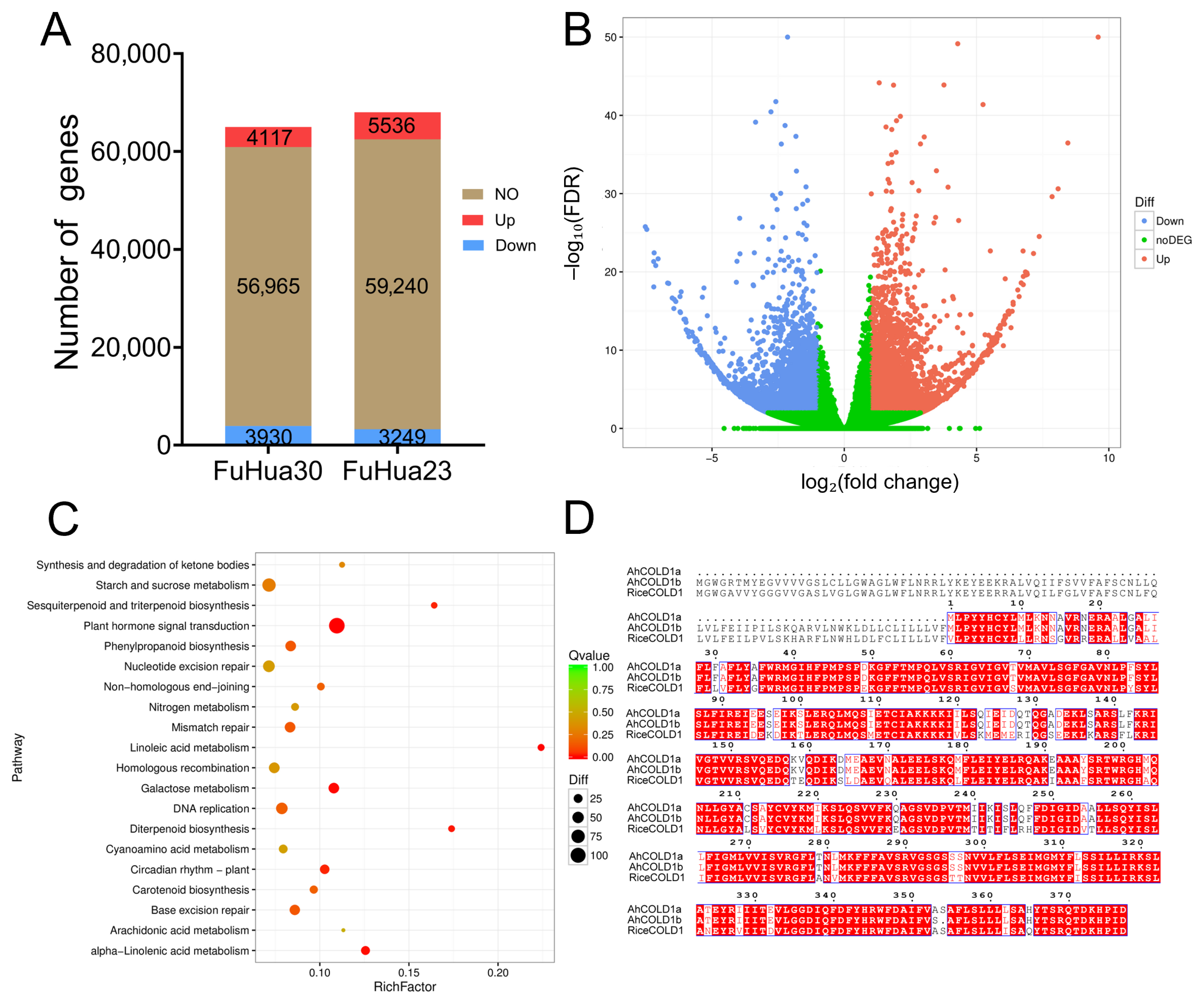 Plants 14 02944 g004 Plants 14 02944 g004