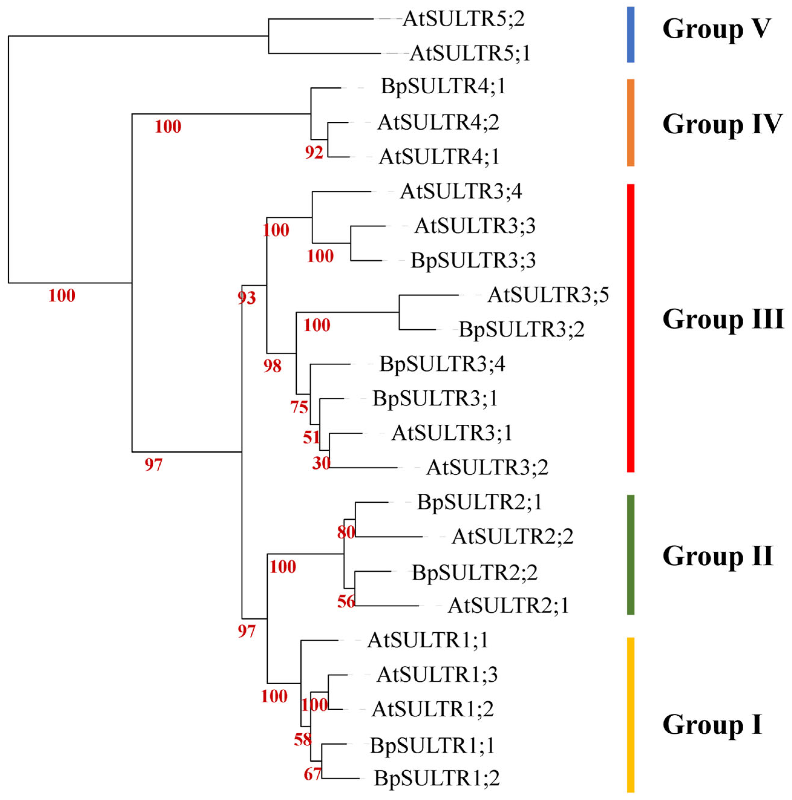 Plants 14 02995 g002 Plants 14 02995 g002