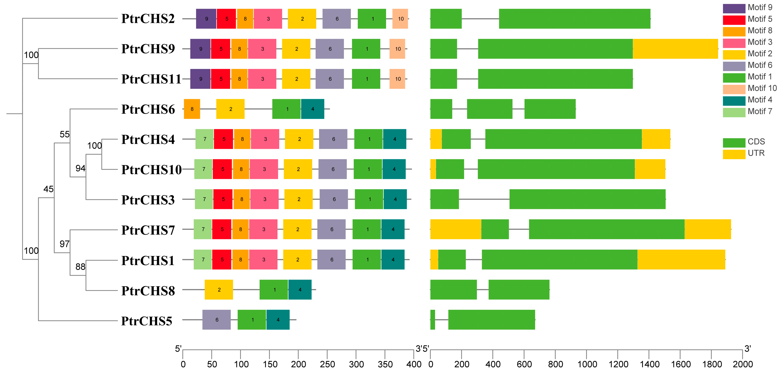 Plants 14 03003 g002 Plants 14 03003 g002