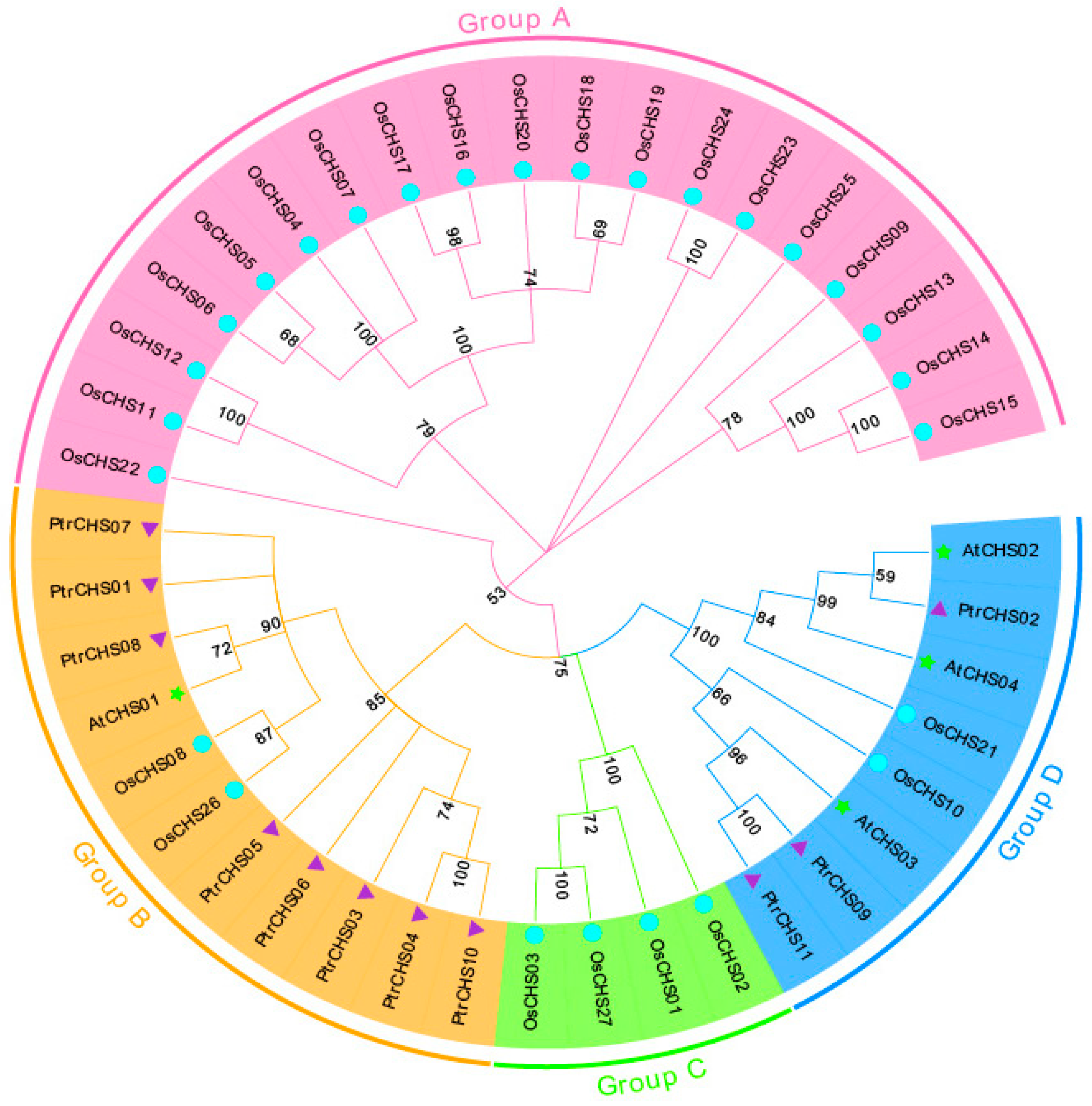 Plants 14 03003 g003 Plants 14 03003 g003