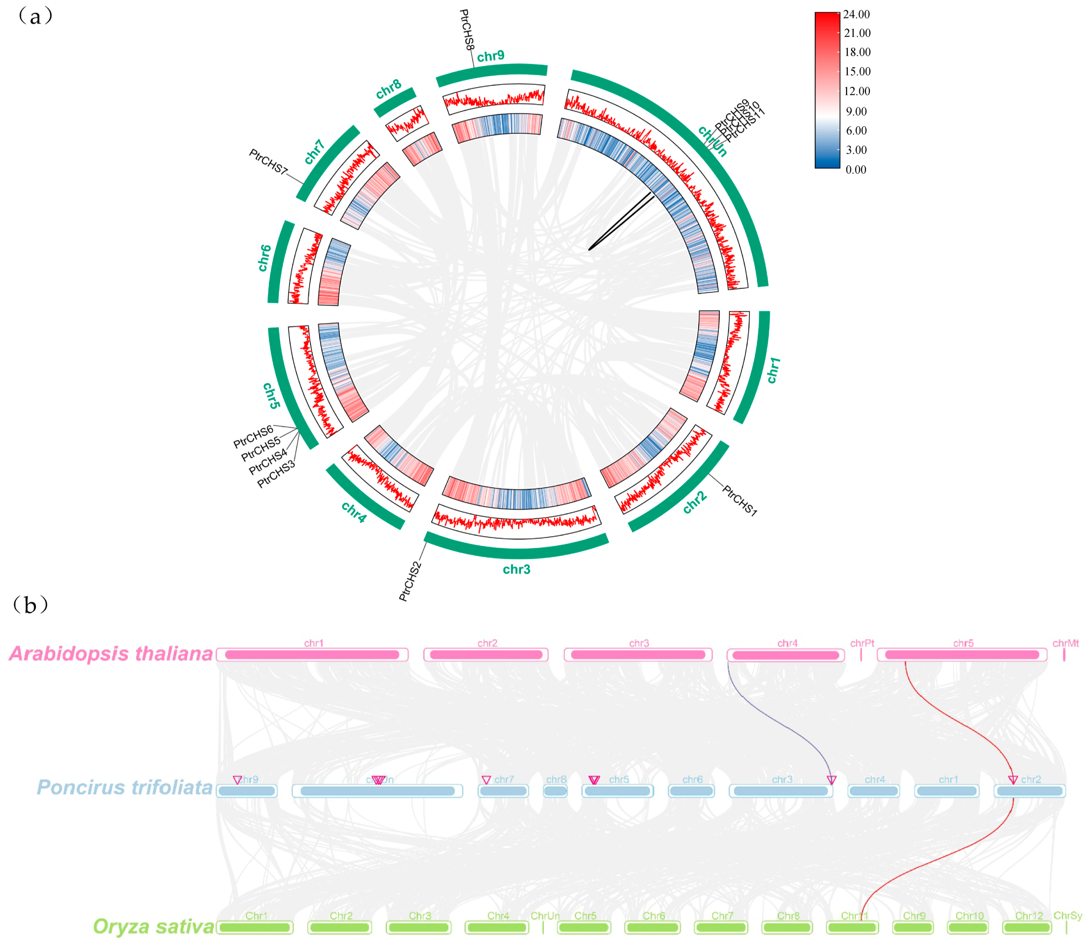 Plants 14 03003 g005 Plants 14 03003 g005