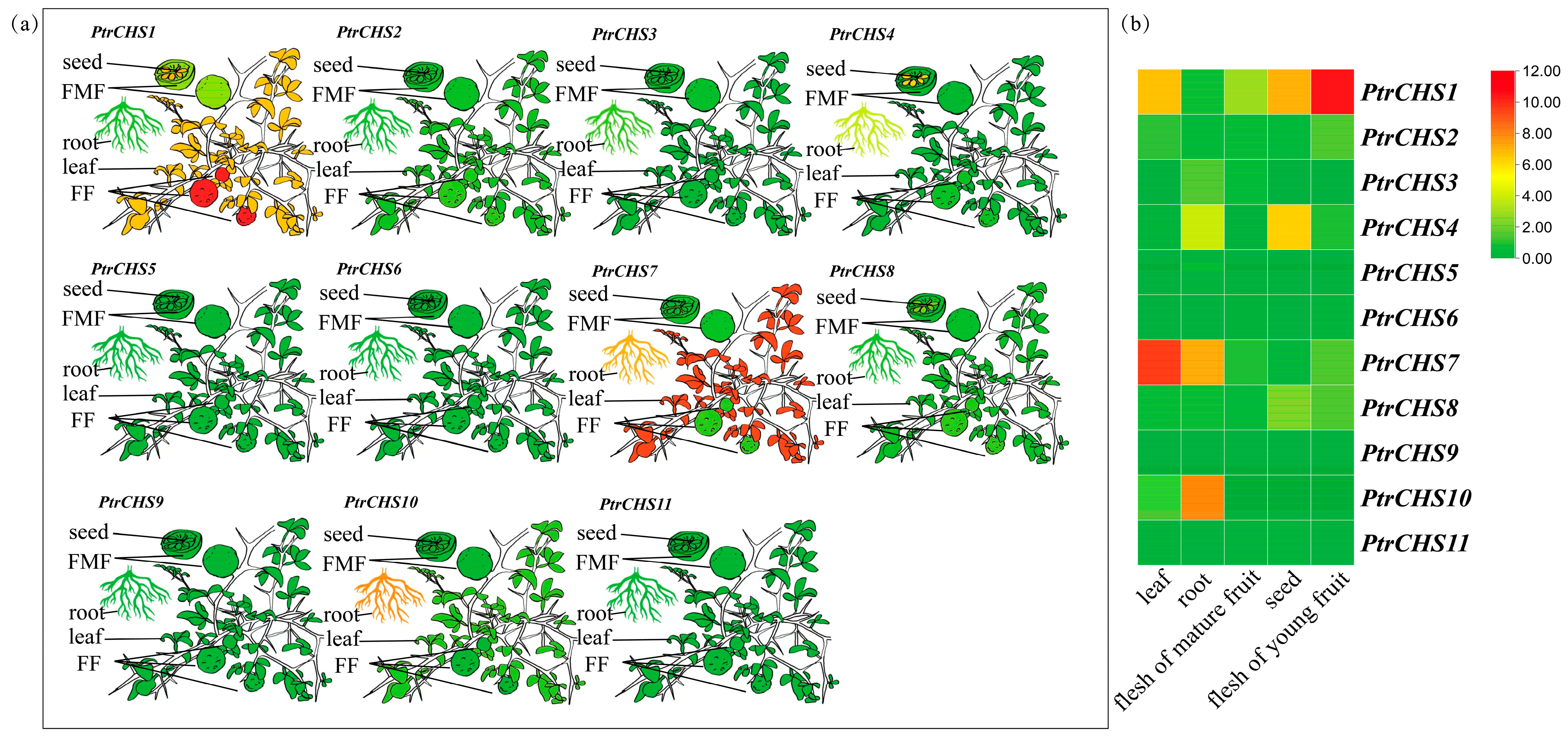 Plants 14 03003 g007 Plants 14 03003 g007
