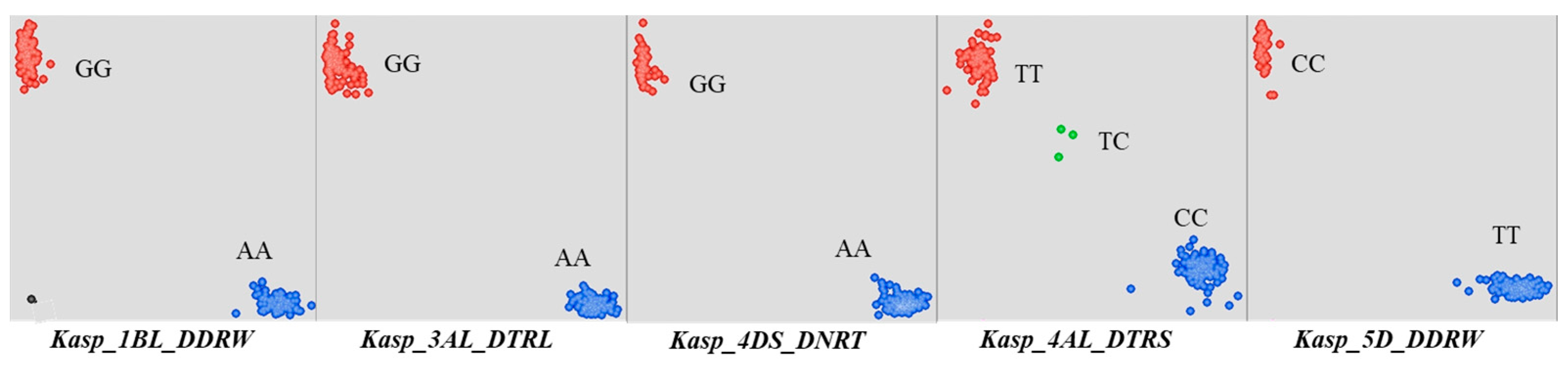 Plants 14 03023 g0a2 Plants 14 03023 g0a2