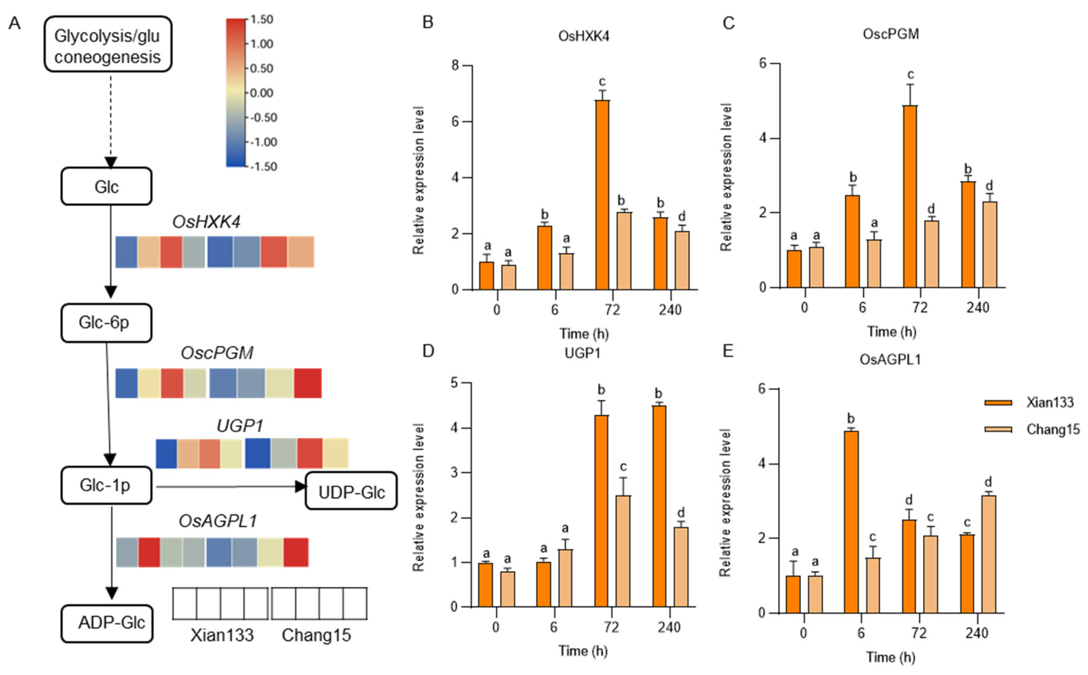 Plants 14 03033 g004 Plants 14 03033 g004