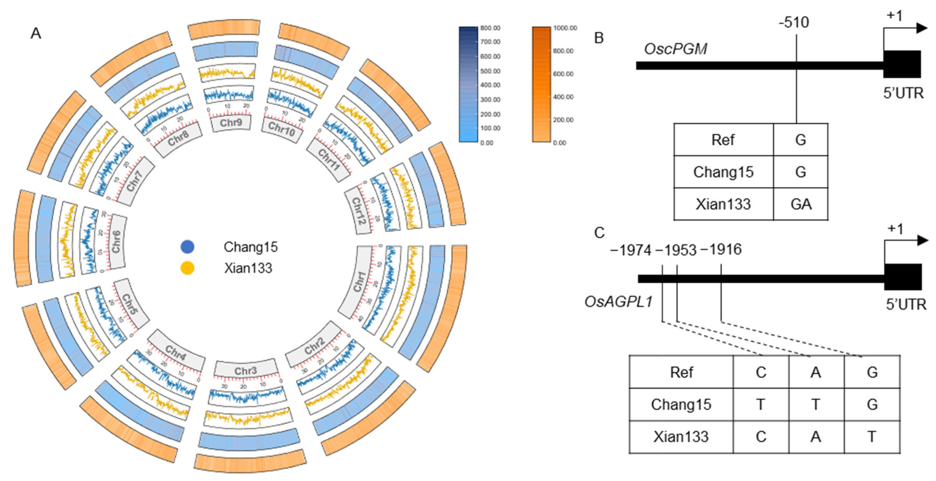 Plants 14 03033 g005 Plants 14 03033 g005