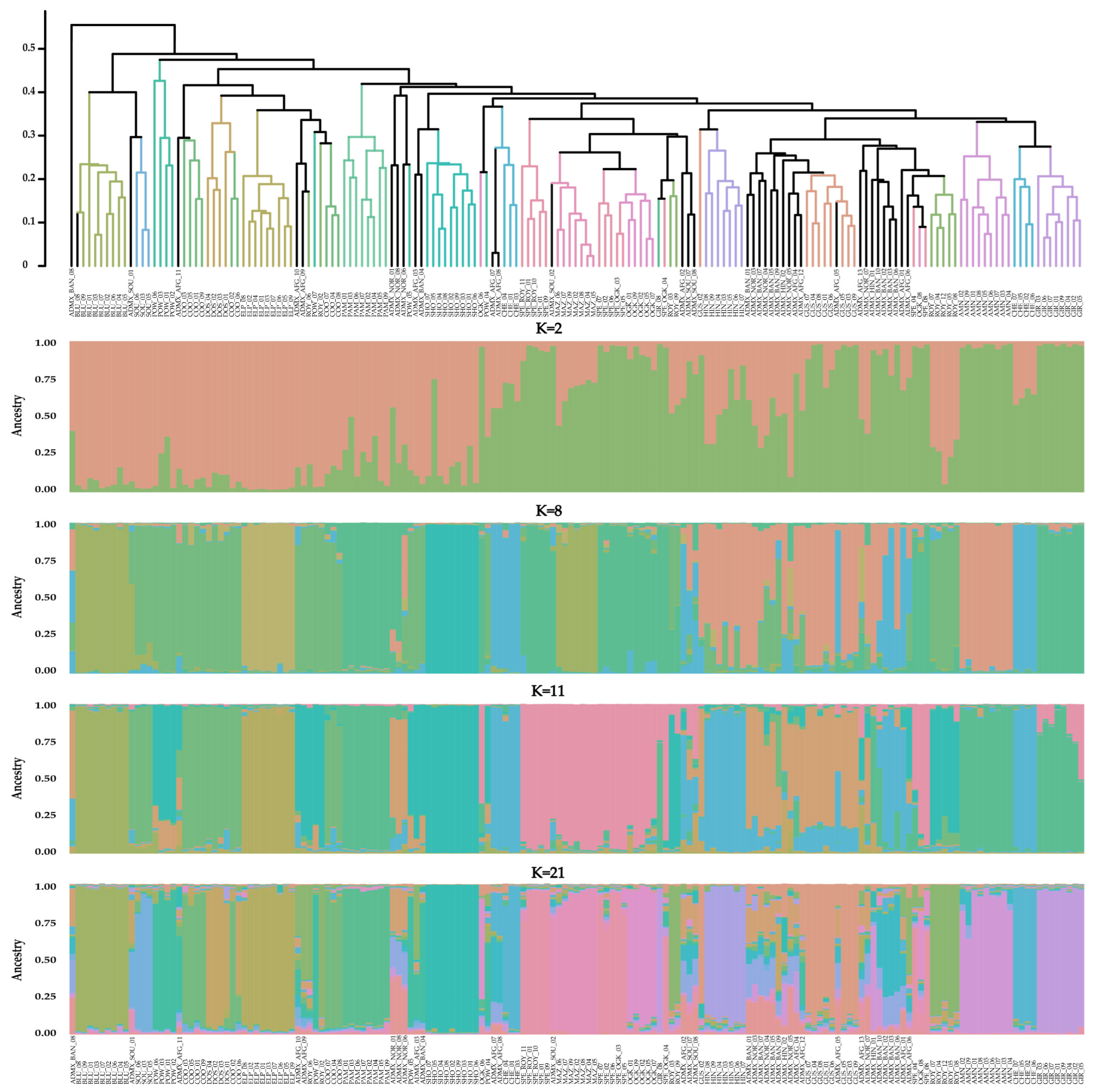 Plants 14 03050 g001 Plants 14 03050 g001