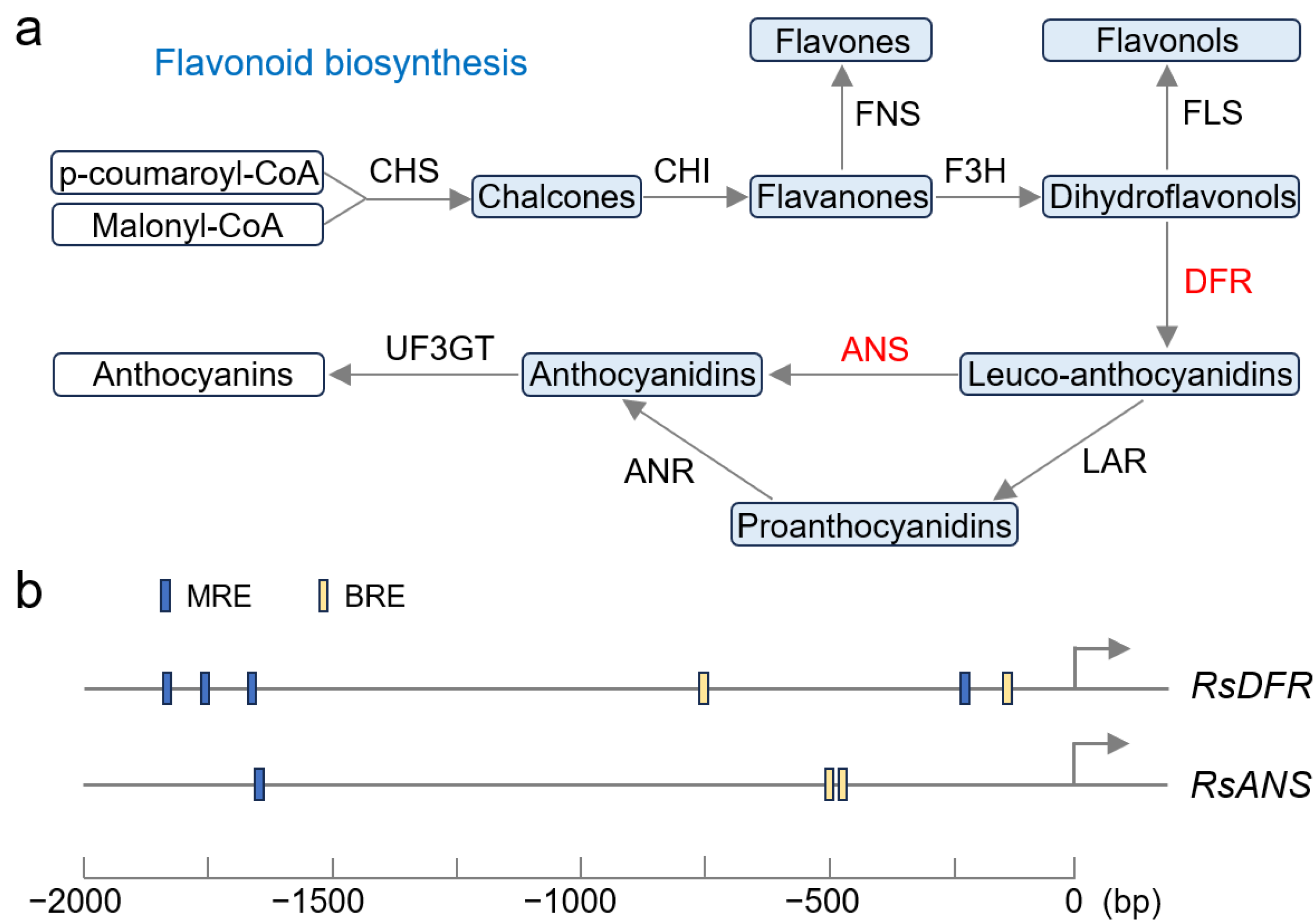 Plants 14 03065 g007 Plants 14 03065 g007