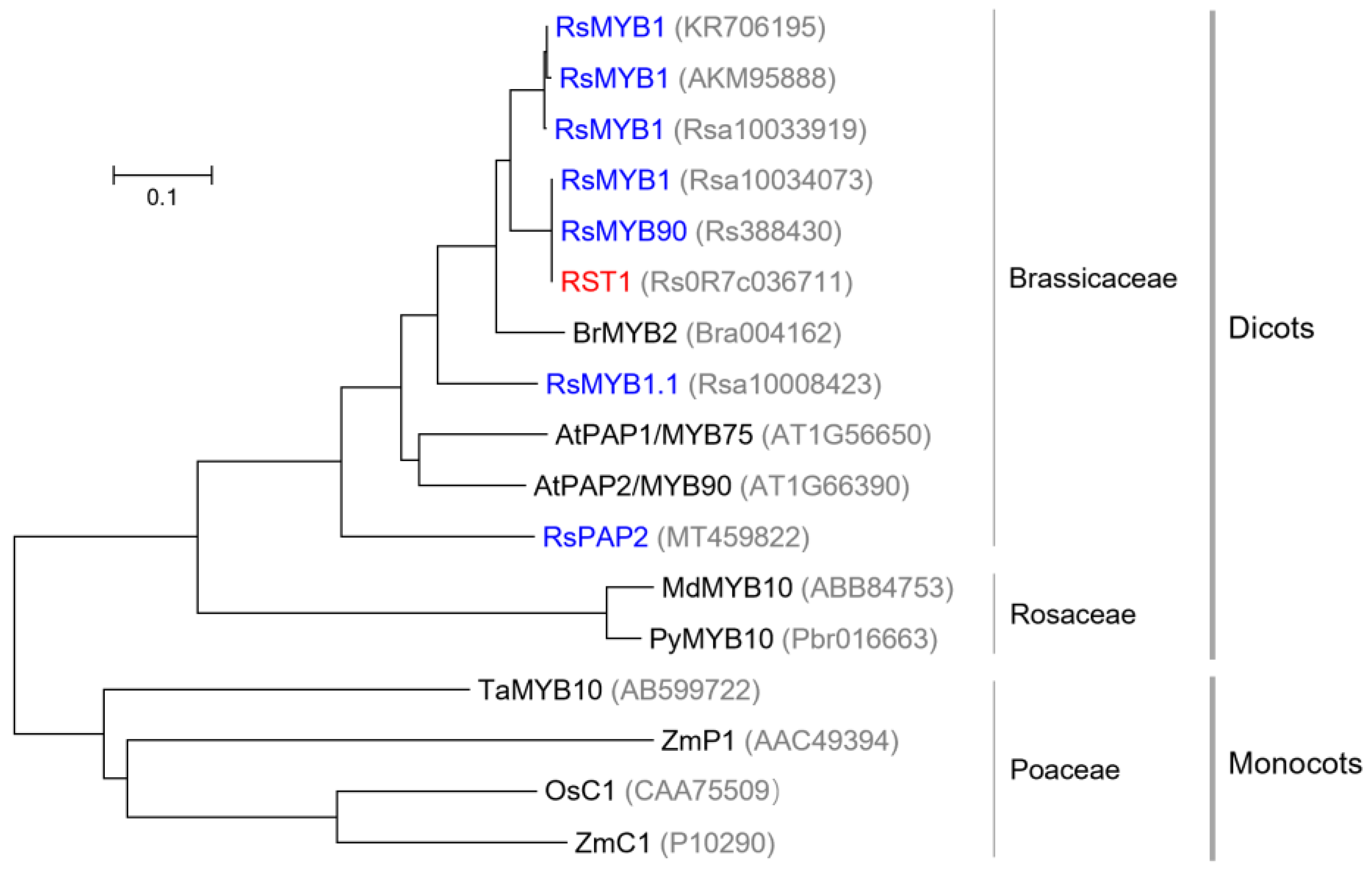 Plants 14 03065 g008 Plants 14 03065 g008