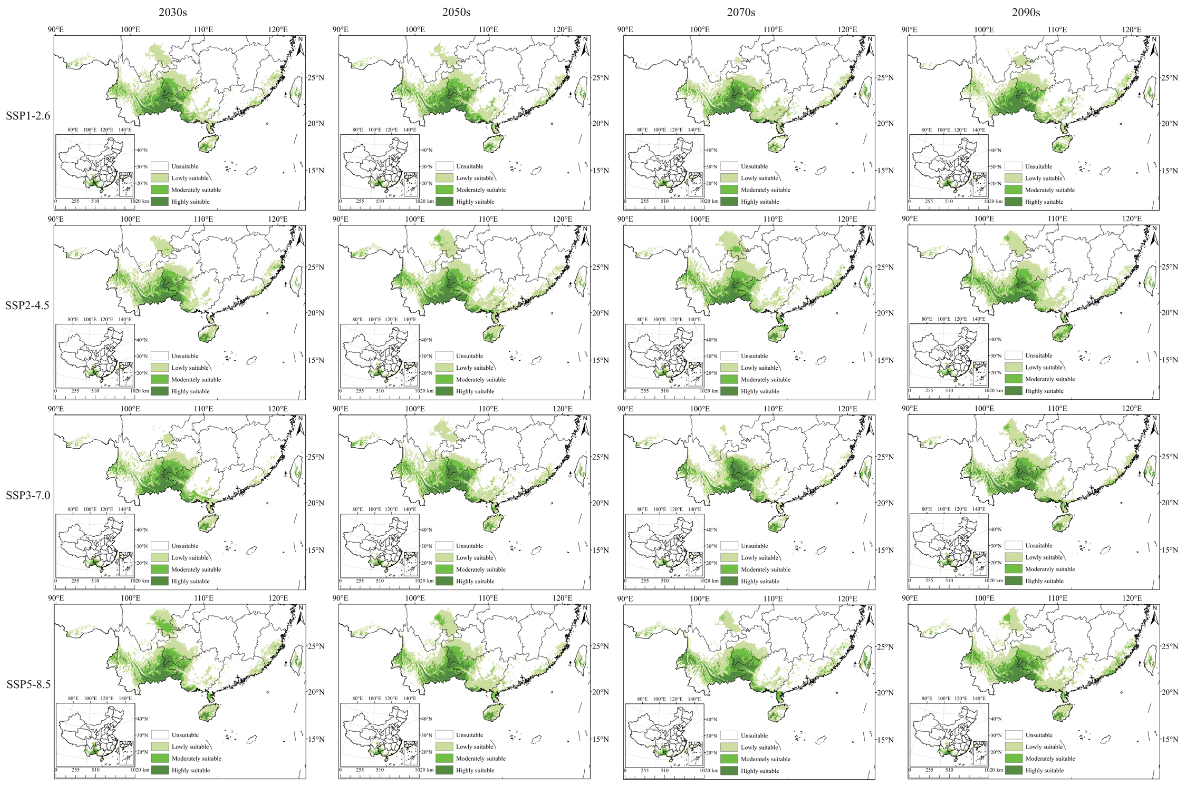 Plants 14 03084 g006 Plants 14 03084 g006