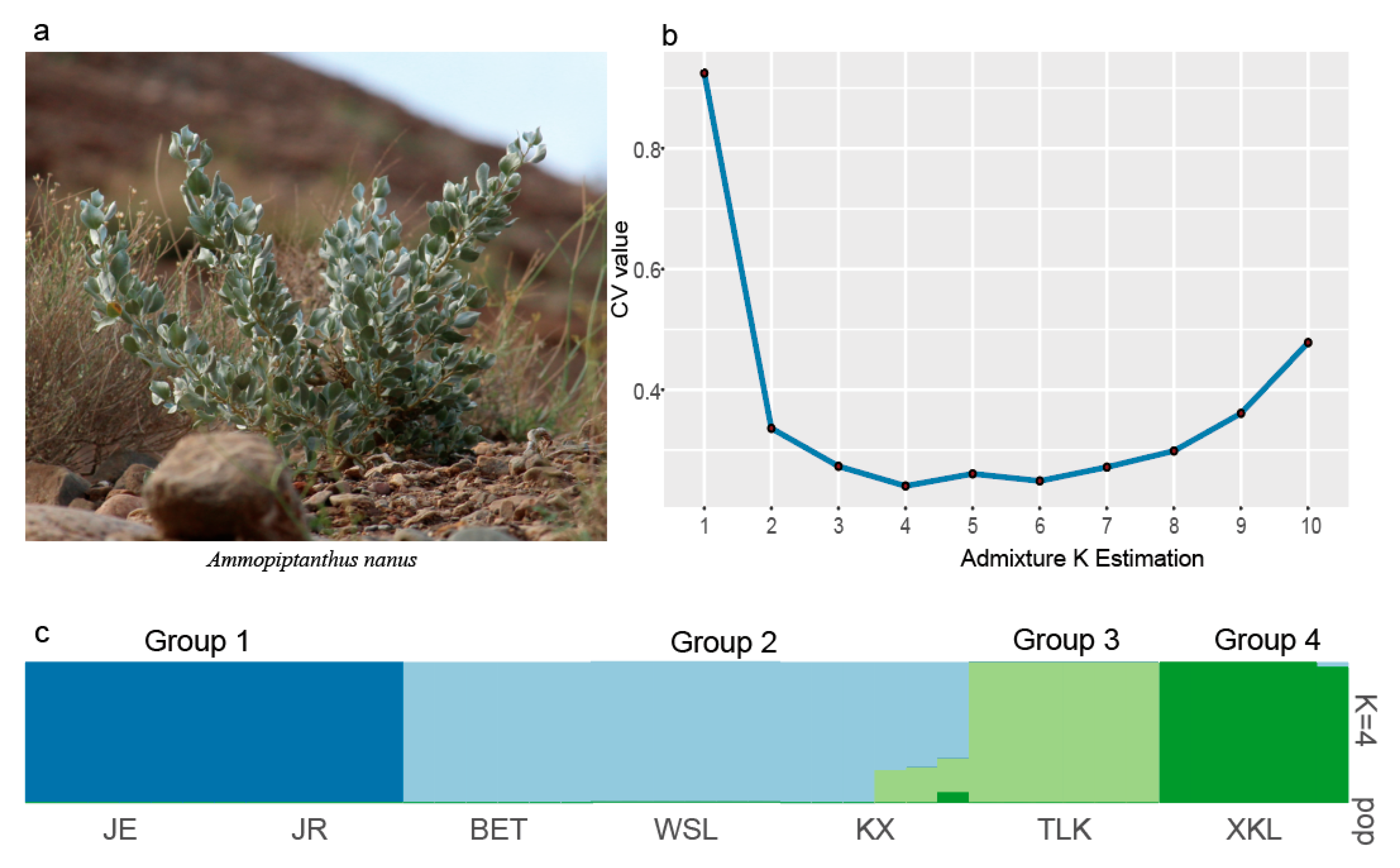 Plants 14 03105 g002 Plants 14 03105 g002