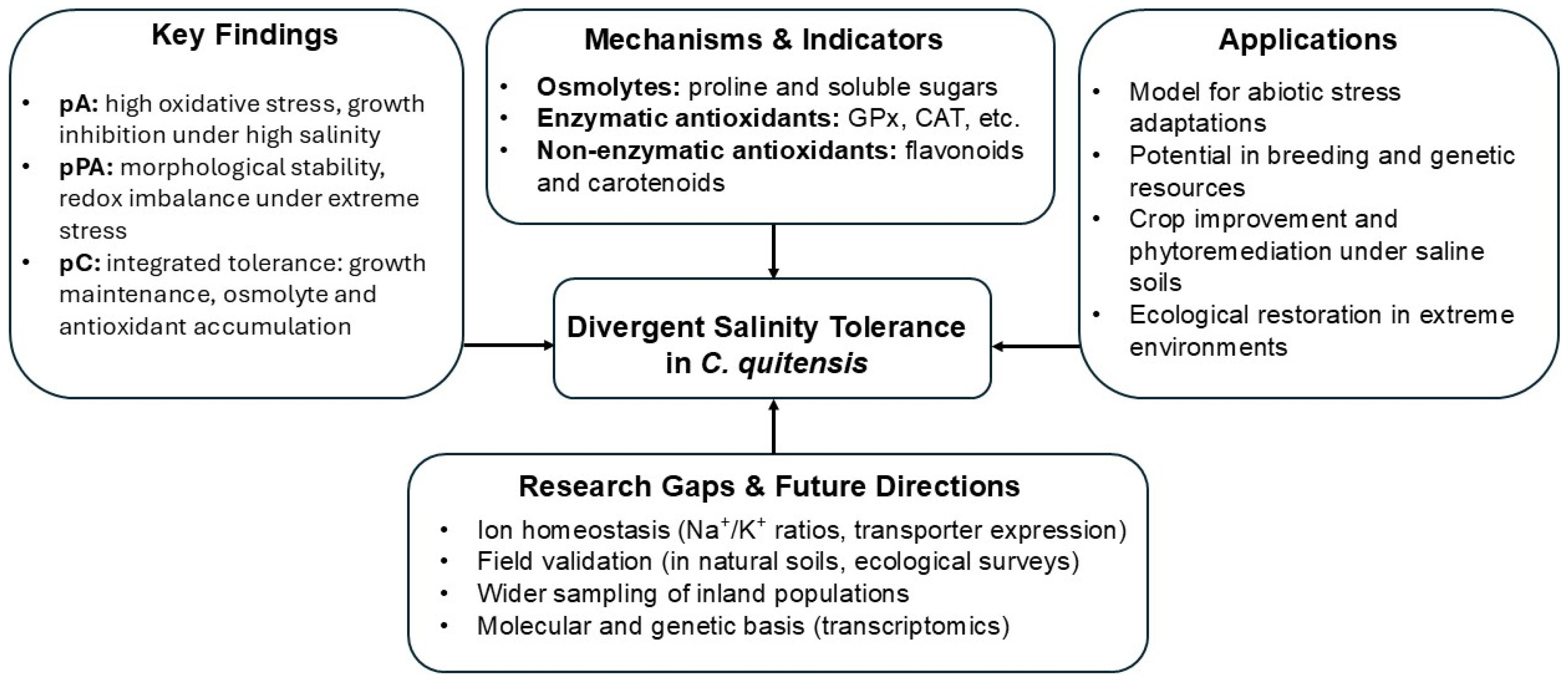 Plants 14 03116 g007 Plants 14 03116 g007