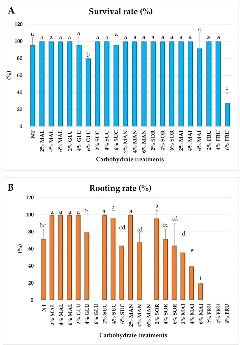 Plants 14 03125 g001 Plants 14 03125 g001