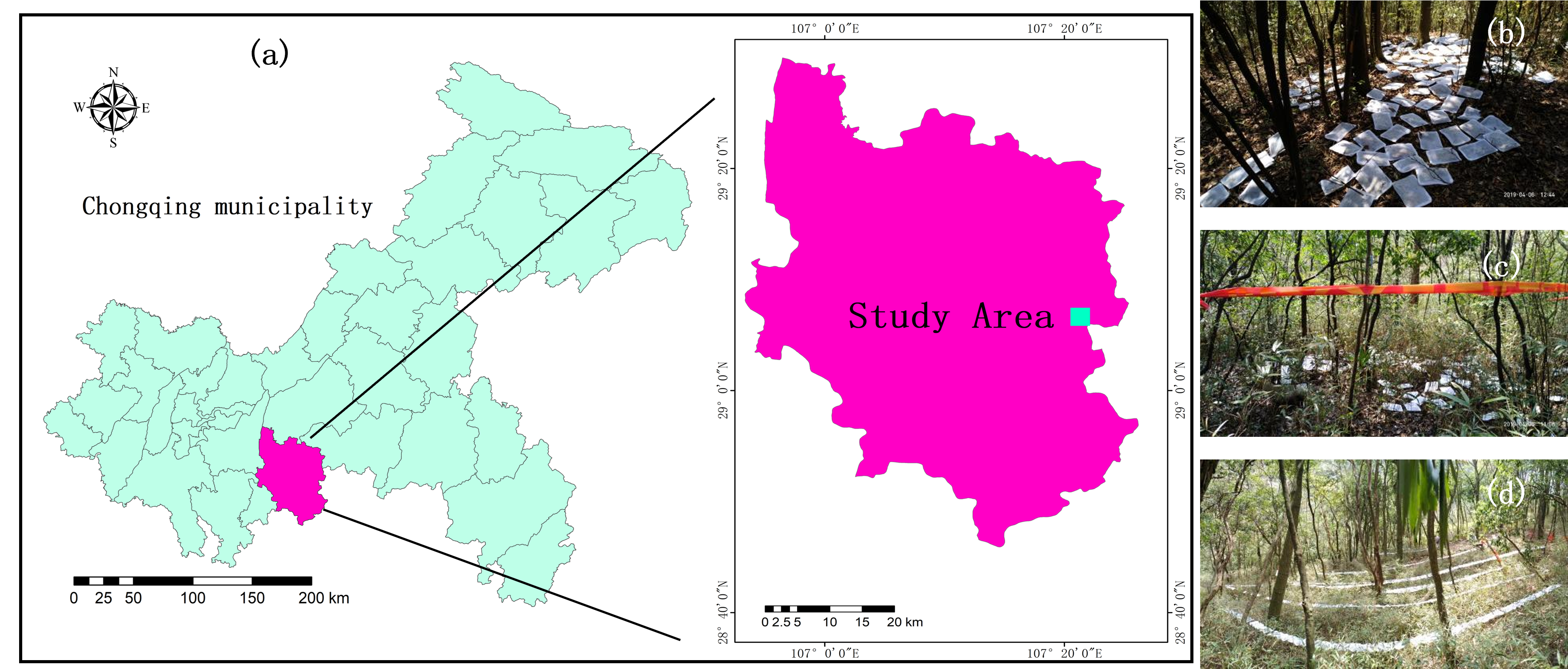 Plants 14 03135 g001 Plants 14 03135 g001