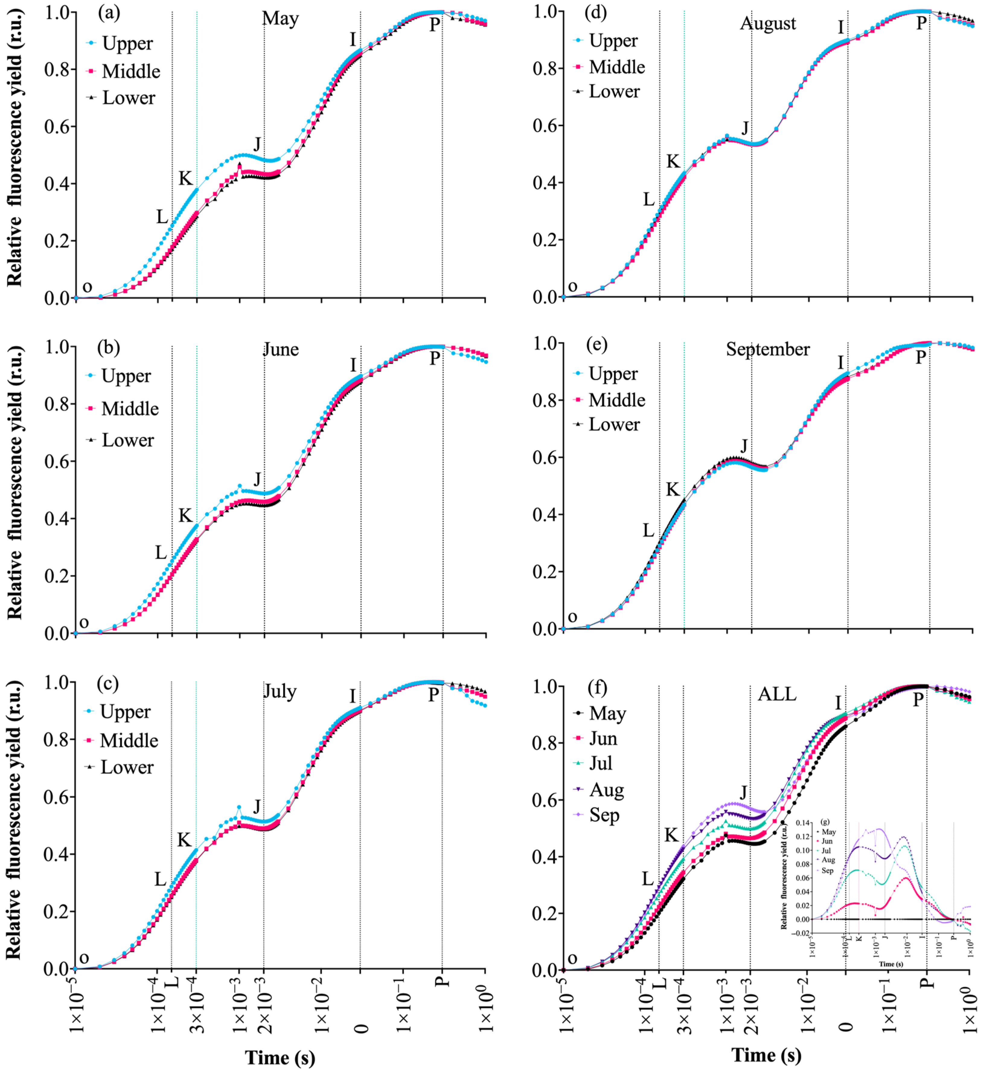 Plants 14 03142 g004 Plants 14 03142 g004