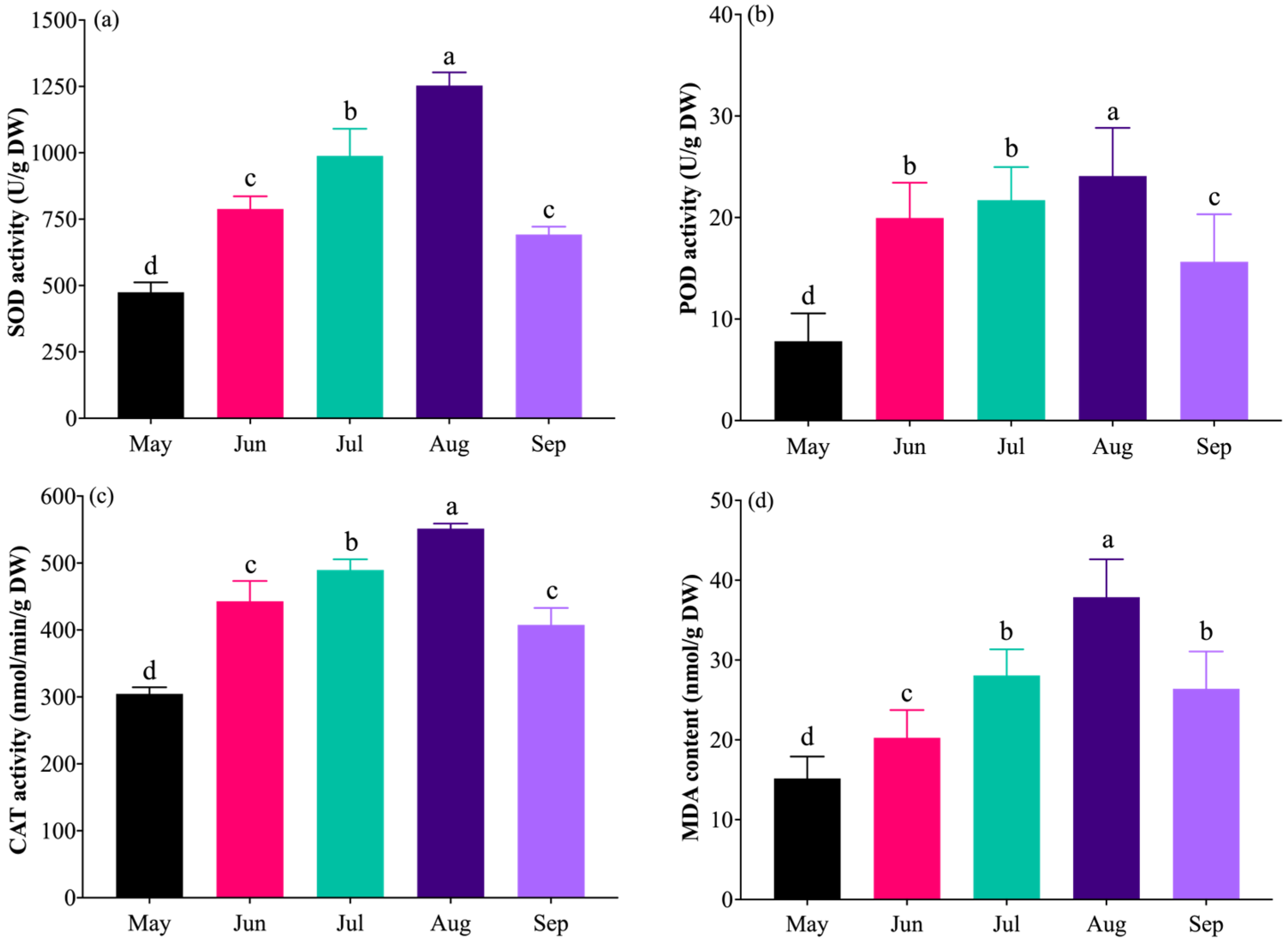 Plants 14 03142 g006 Plants 14 03142 g006