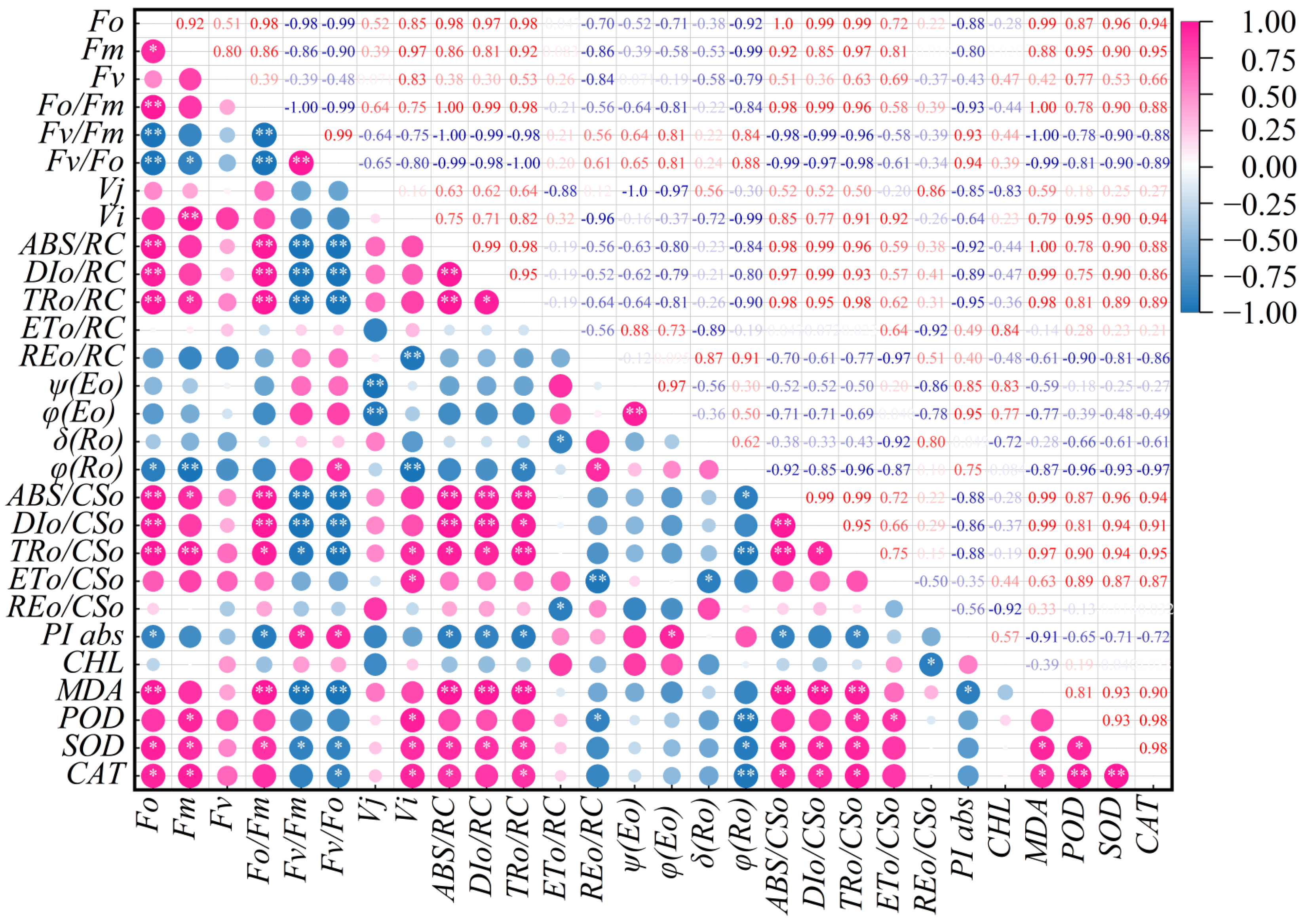 Plants 14 03142 g007 Plants 14 03142 g007