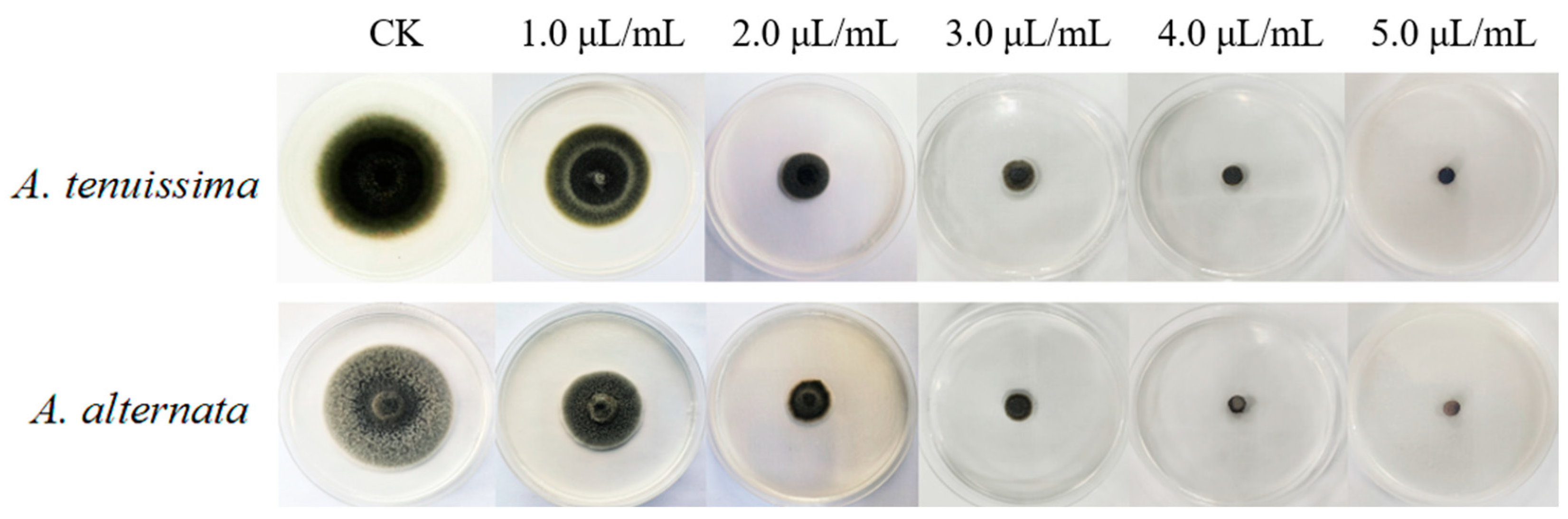 Plants 14 03146 g005 Plants 14 03146 g005