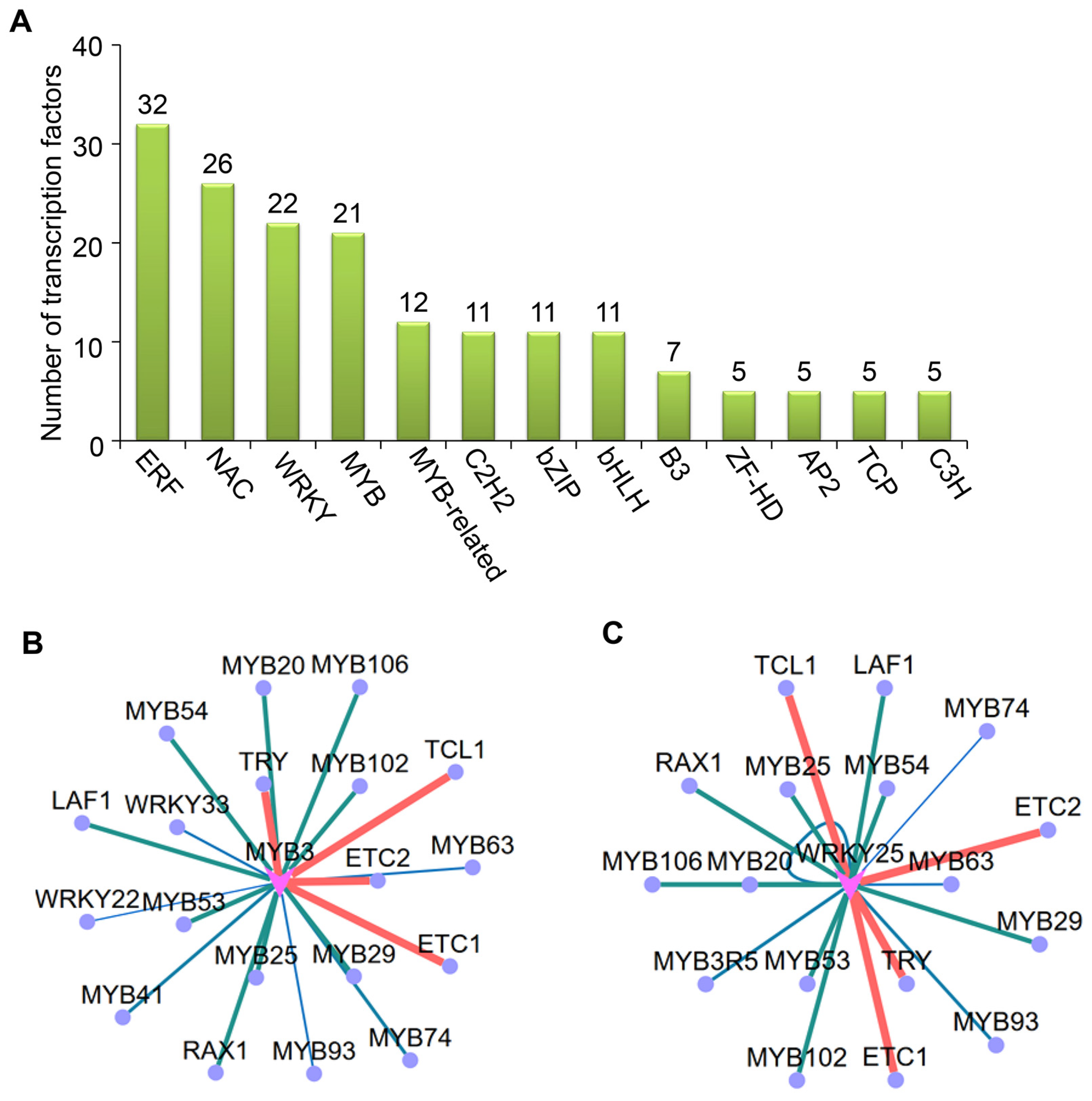 Plants 14 03147 g004 Plants 14 03147 g004