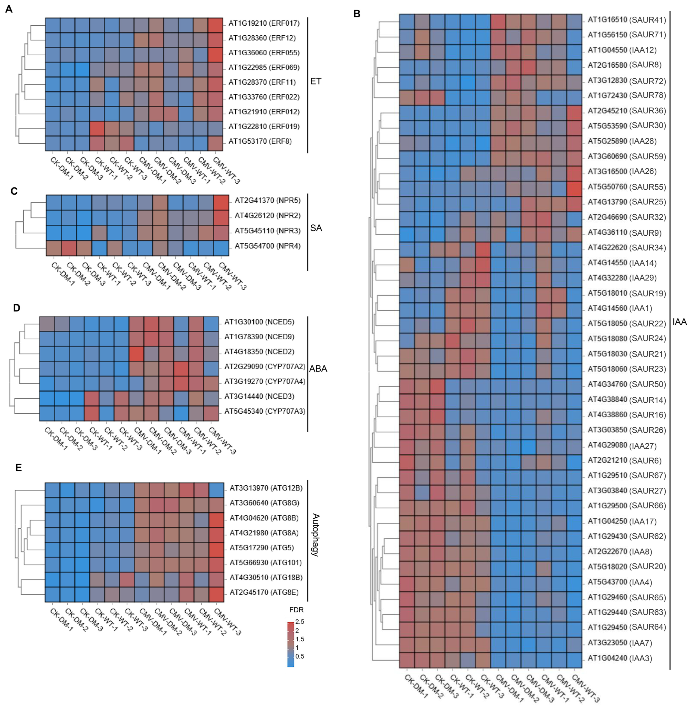 Plants 14 03147 g005 Plants 14 03147 g005