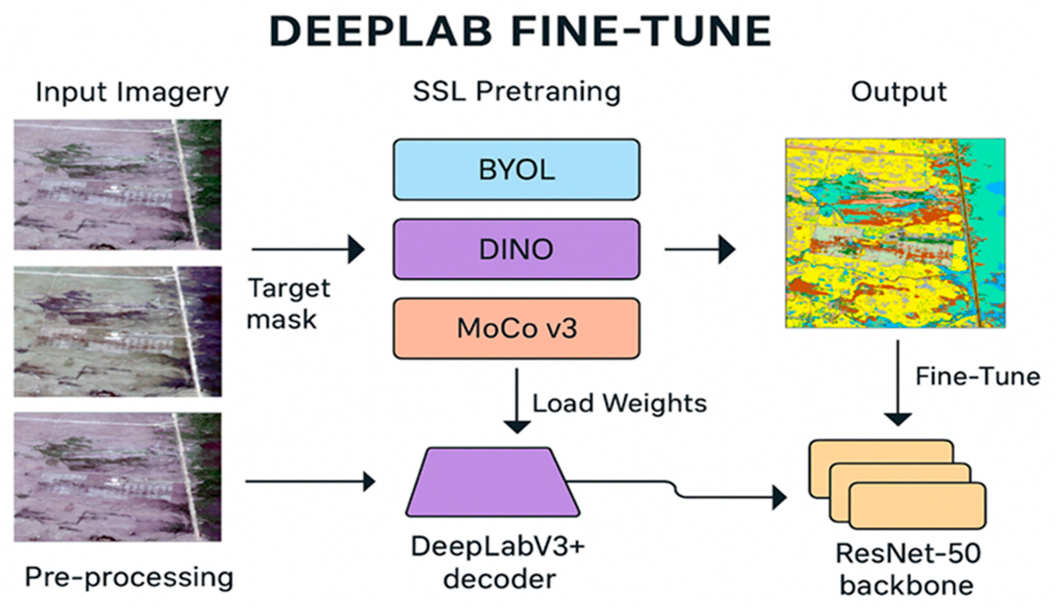 Plants 14 03153 g002 Plants 14 03153 g002