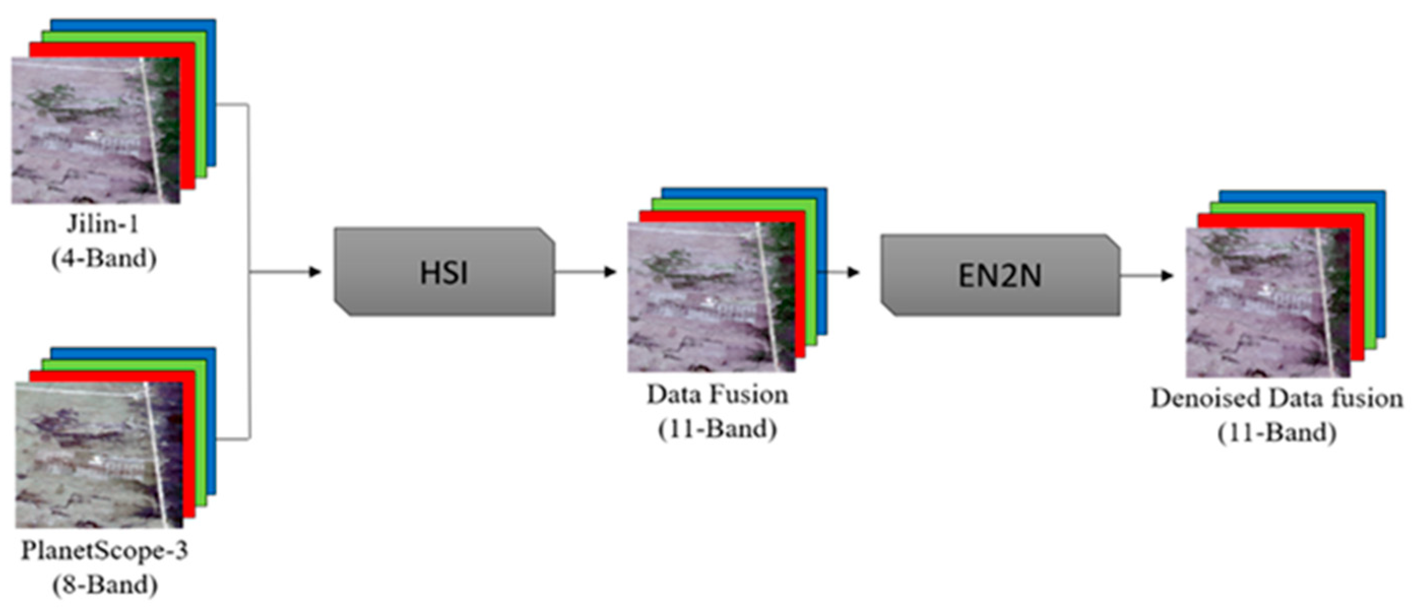 Plants 14 03153 g006 Plants 14 03153 g006