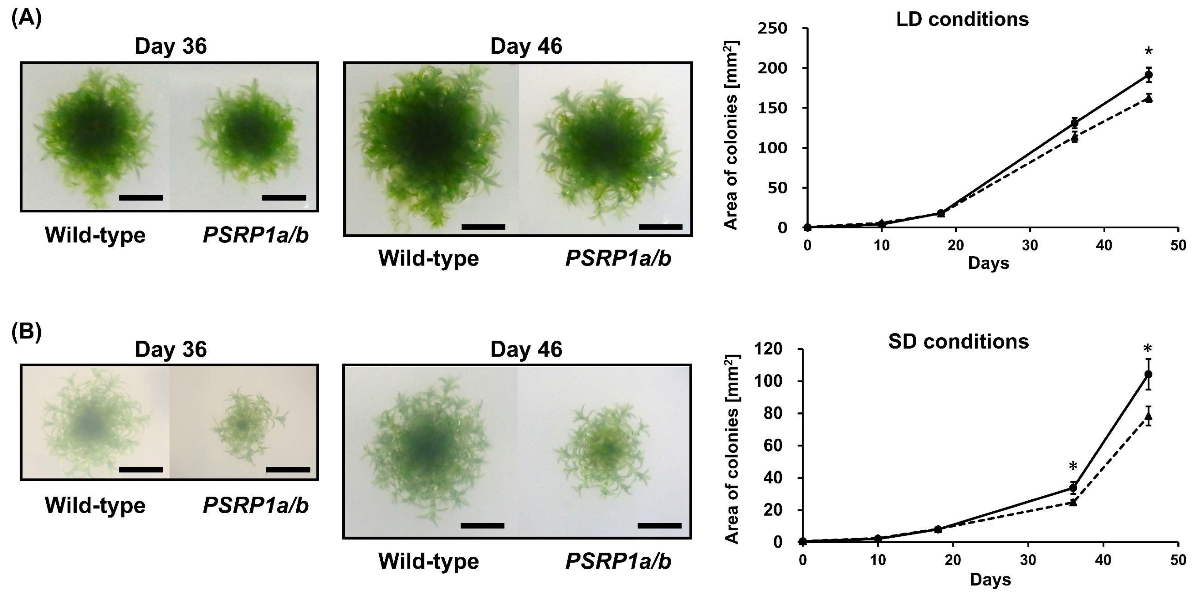 Plants 14 03155 g002a Plants 14 03155 g002a